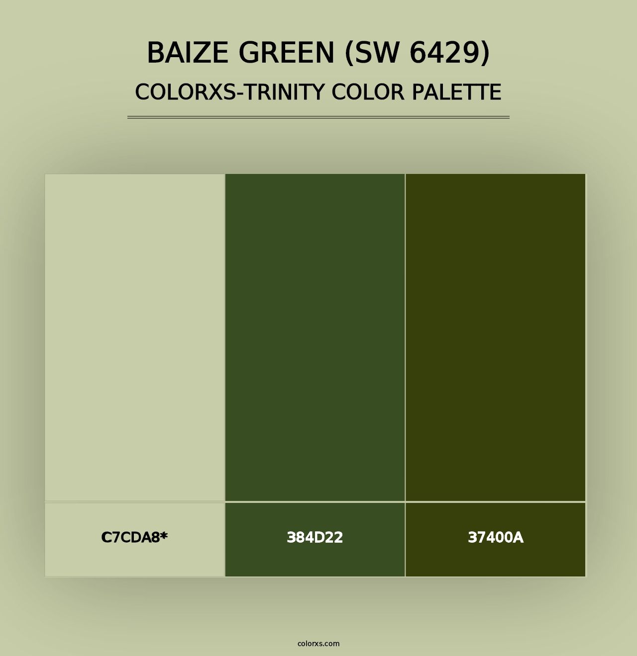 Baize Green (SW 6429) - Colorxs Trinity Palette