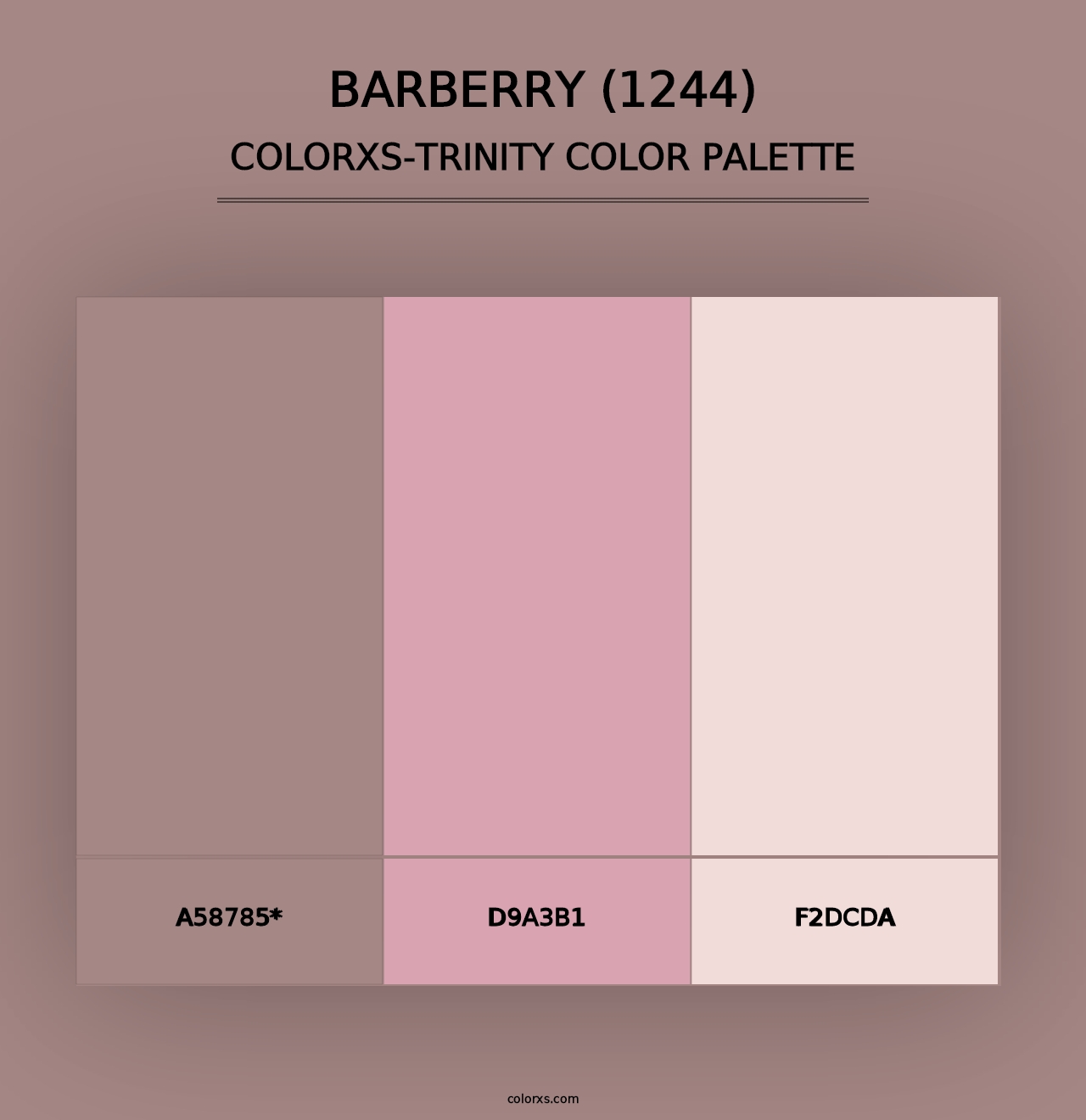 Barberry (1244) - Colorxs Trinity Palette