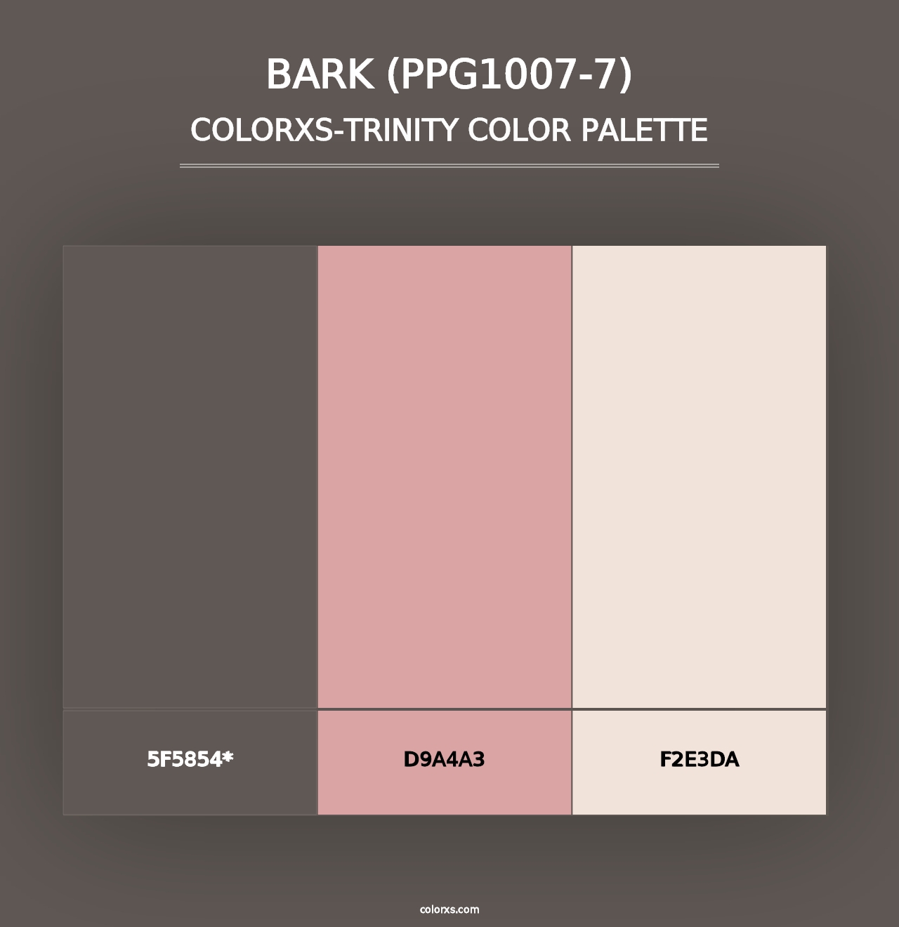 Bark (PPG1007-7) - Colorxs Trinity Palette