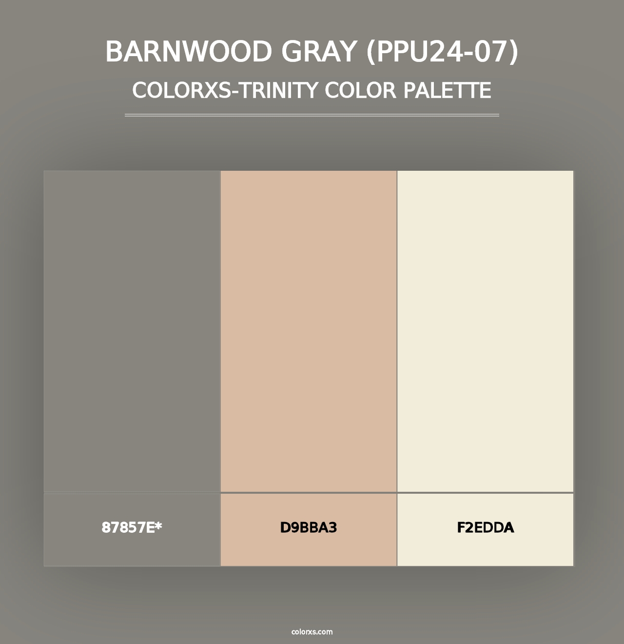 Barnwood Gray (PPU24-07) - Colorxs Trinity Palette