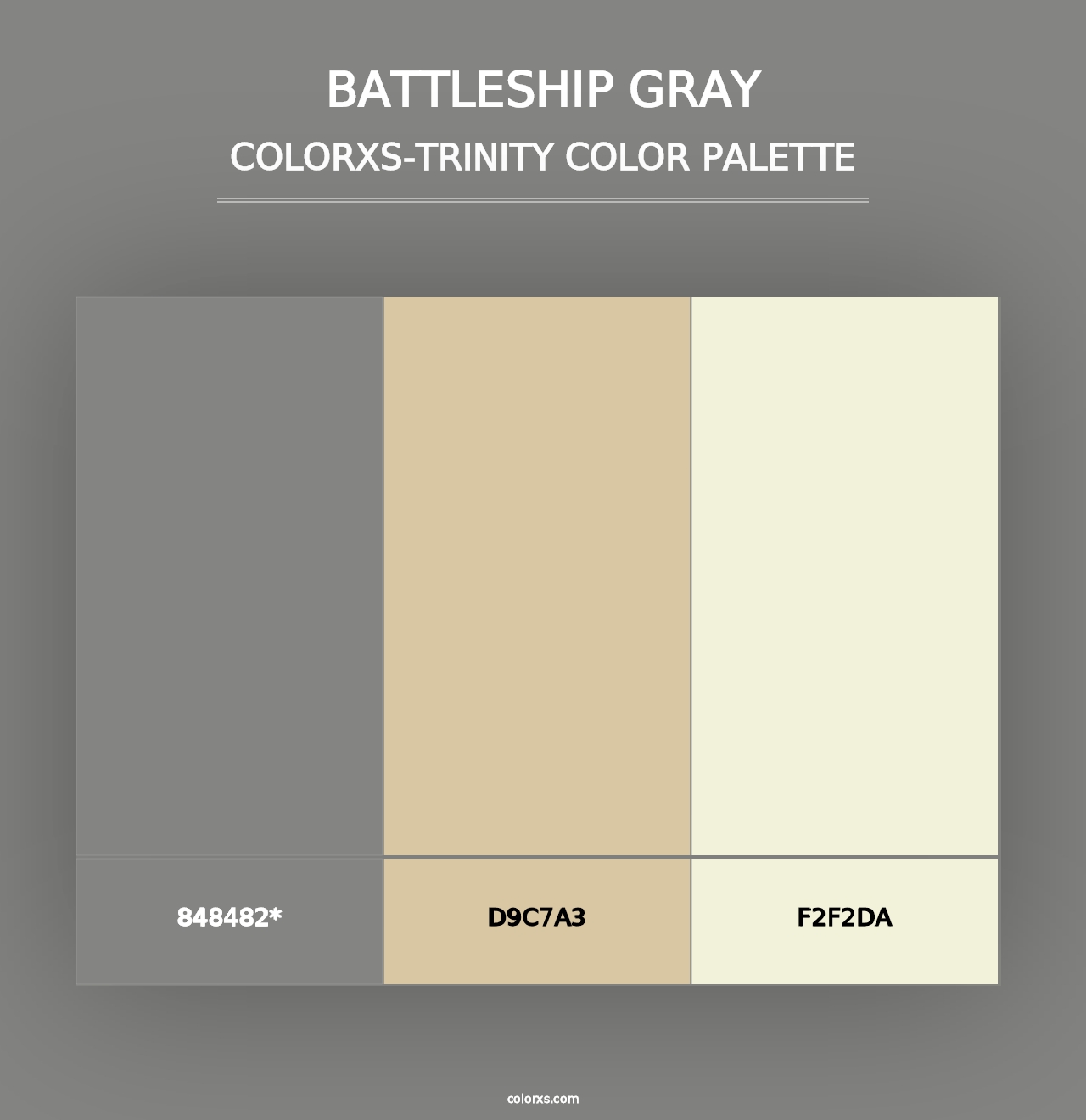 Battleship Gray - Colorxs Trinity Palette