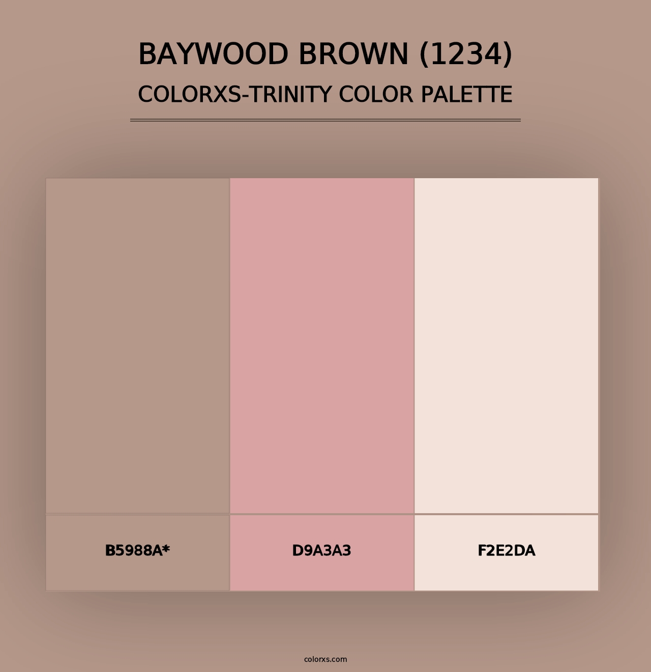 Baywood Brown (1234) - Colorxs Trinity Palette