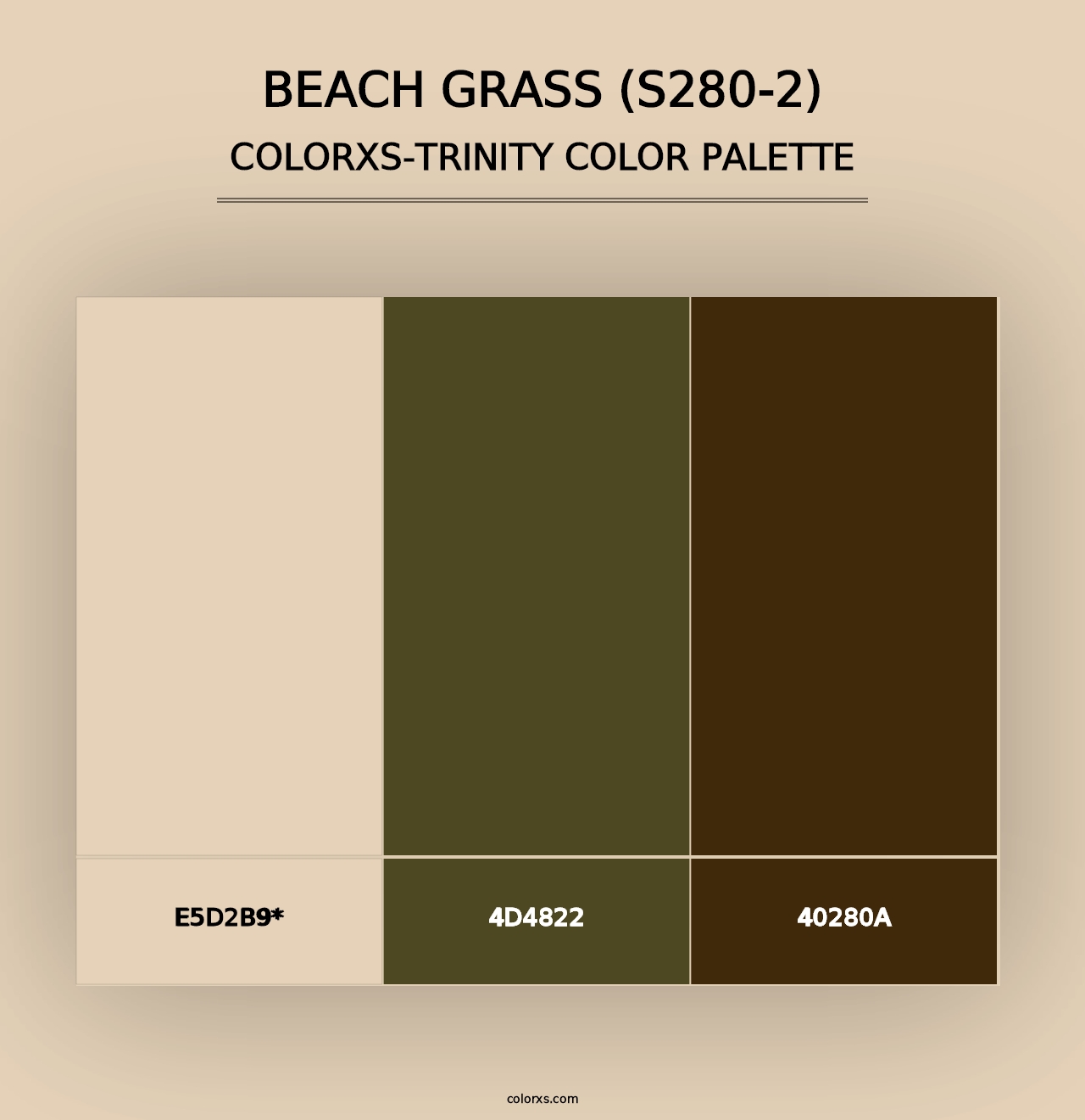 Beach Grass (S280-2) - Colorxs Trinity Palette