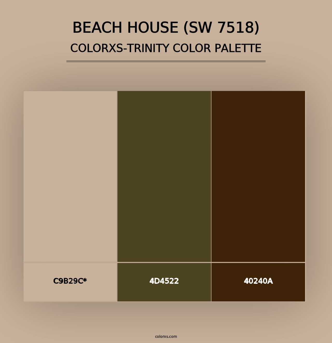 Beach House (SW 7518) - Colorxs Trinity Palette