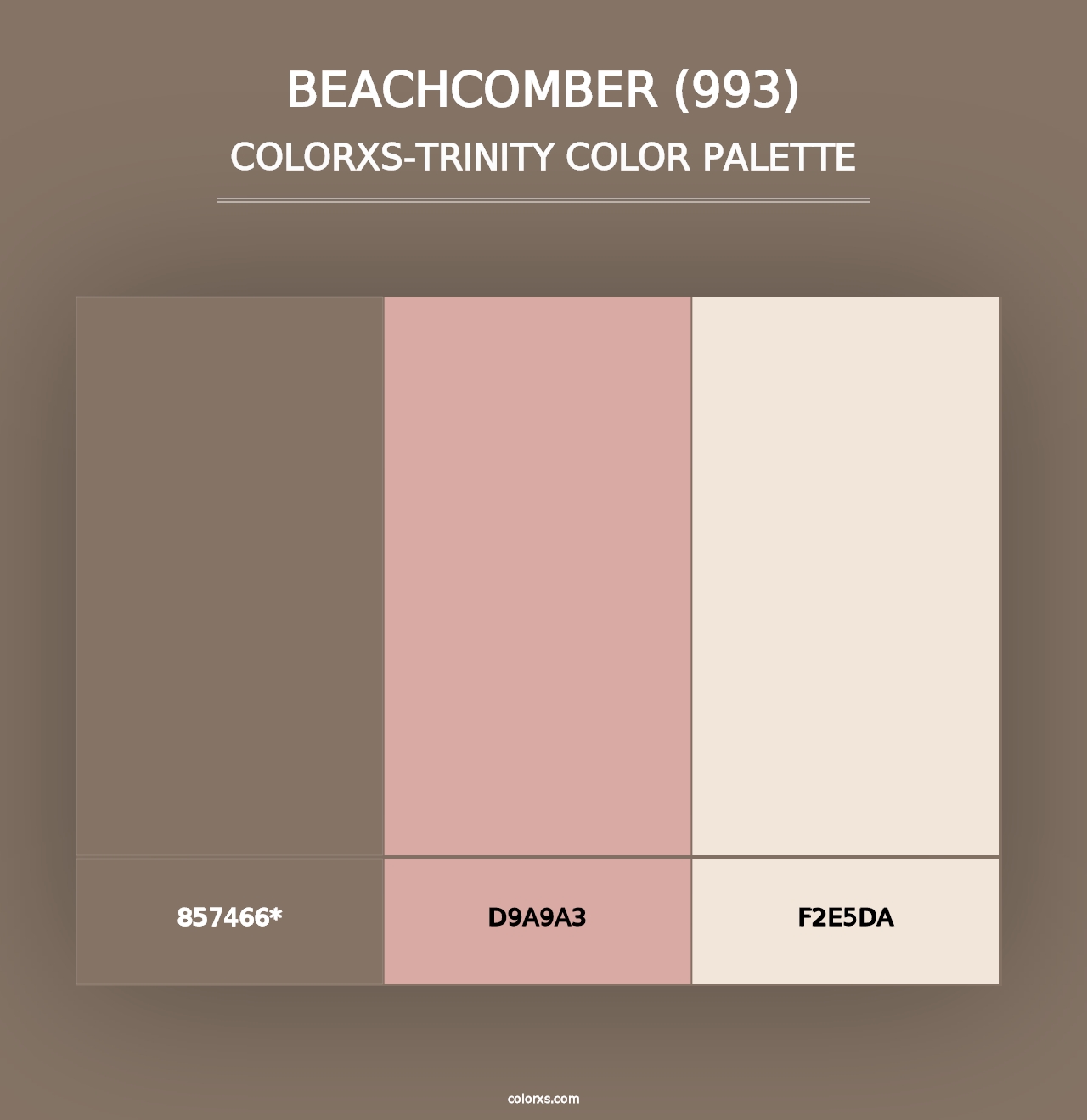 Beachcomber (993) - Colorxs Trinity Palette