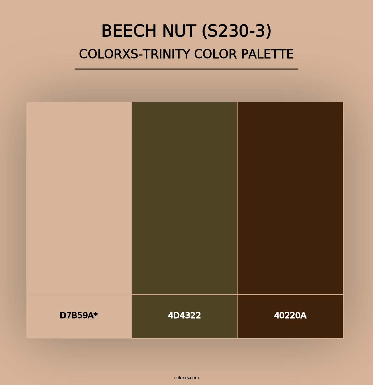 Beech Nut (S230-3) - Colorxs Trinity Palette