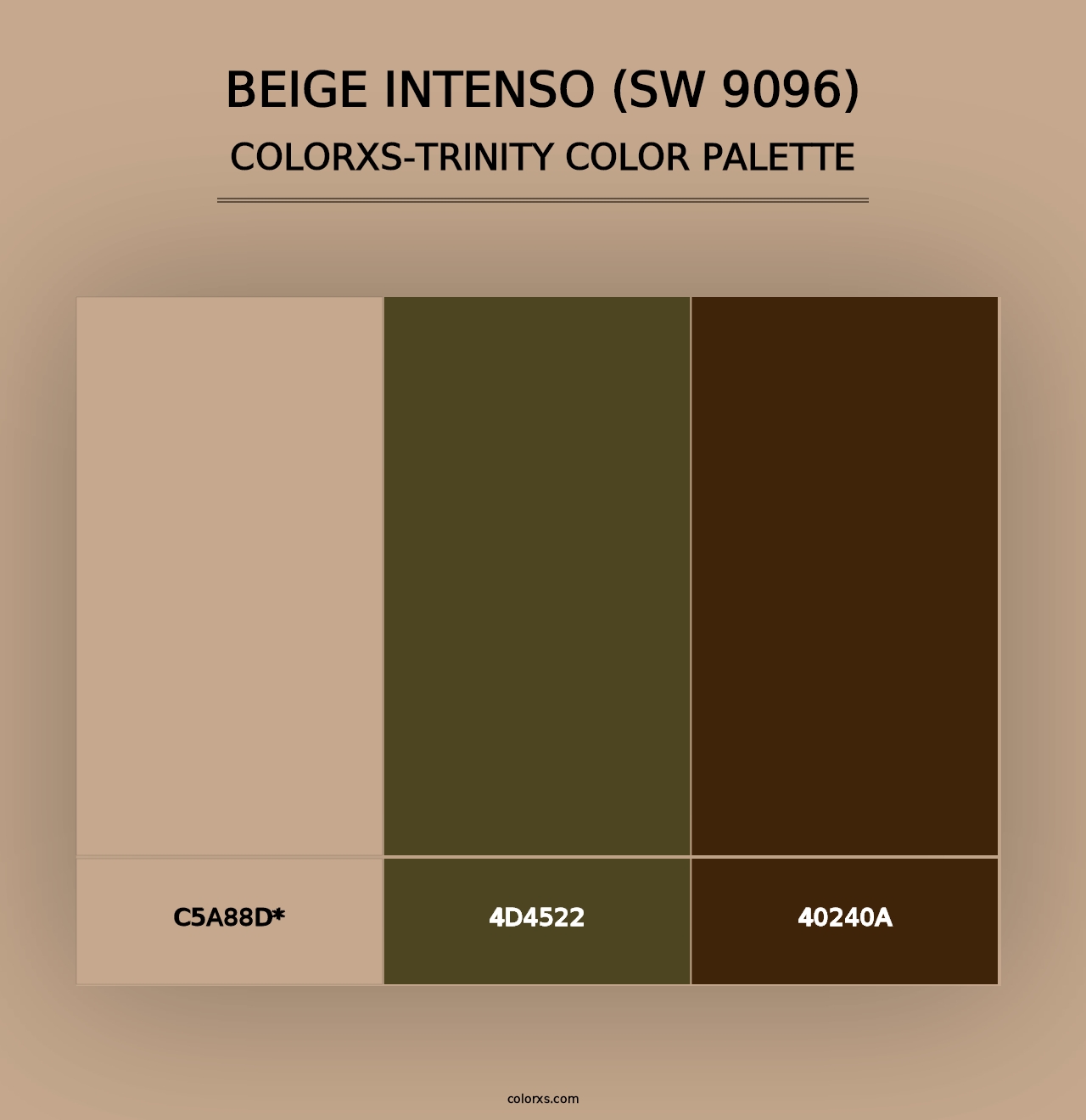 Beige Intenso (SW 9096) - Colorxs Trinity Palette