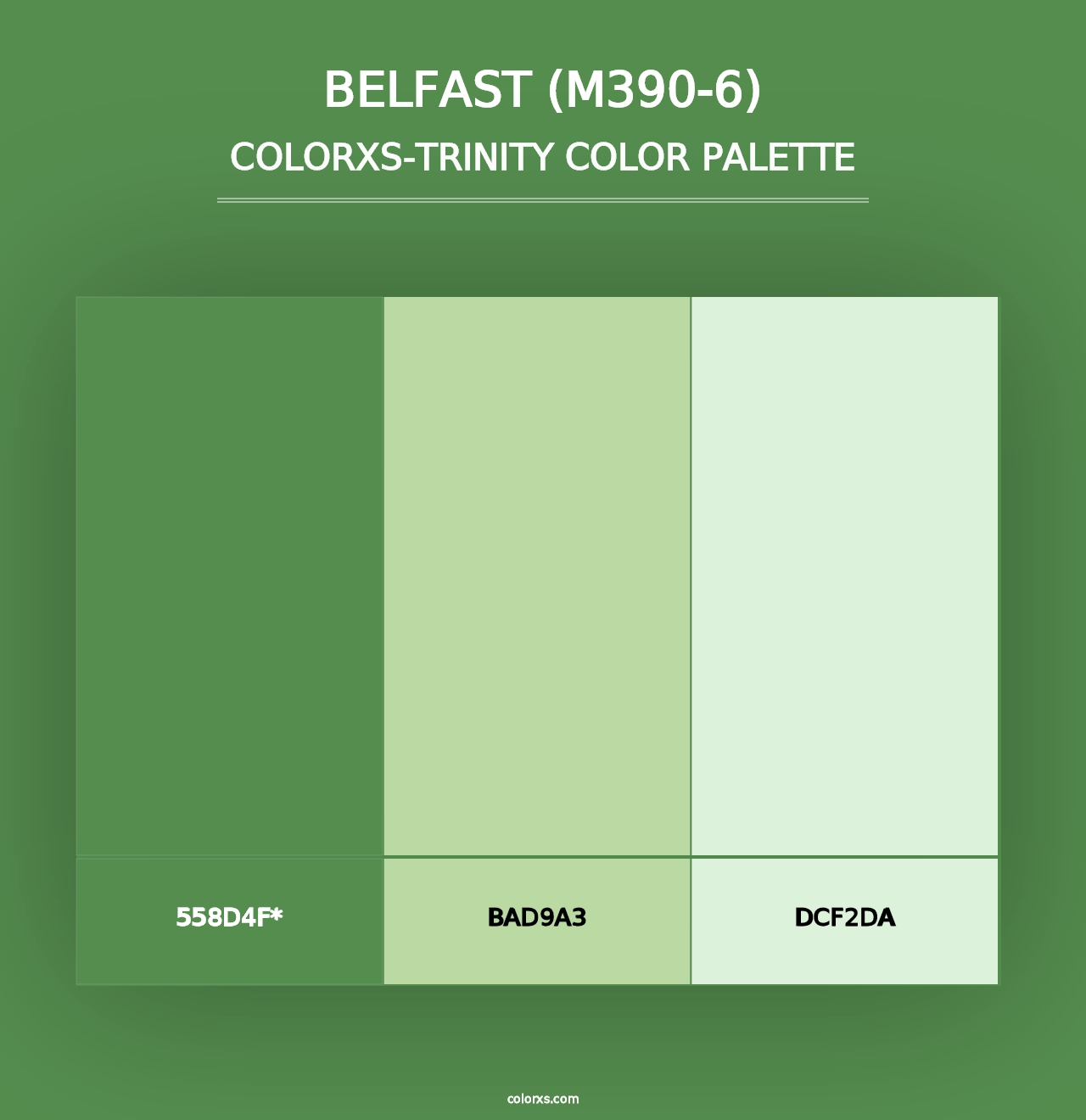 Belfast (M390-6) - Colorxs Trinity Palette