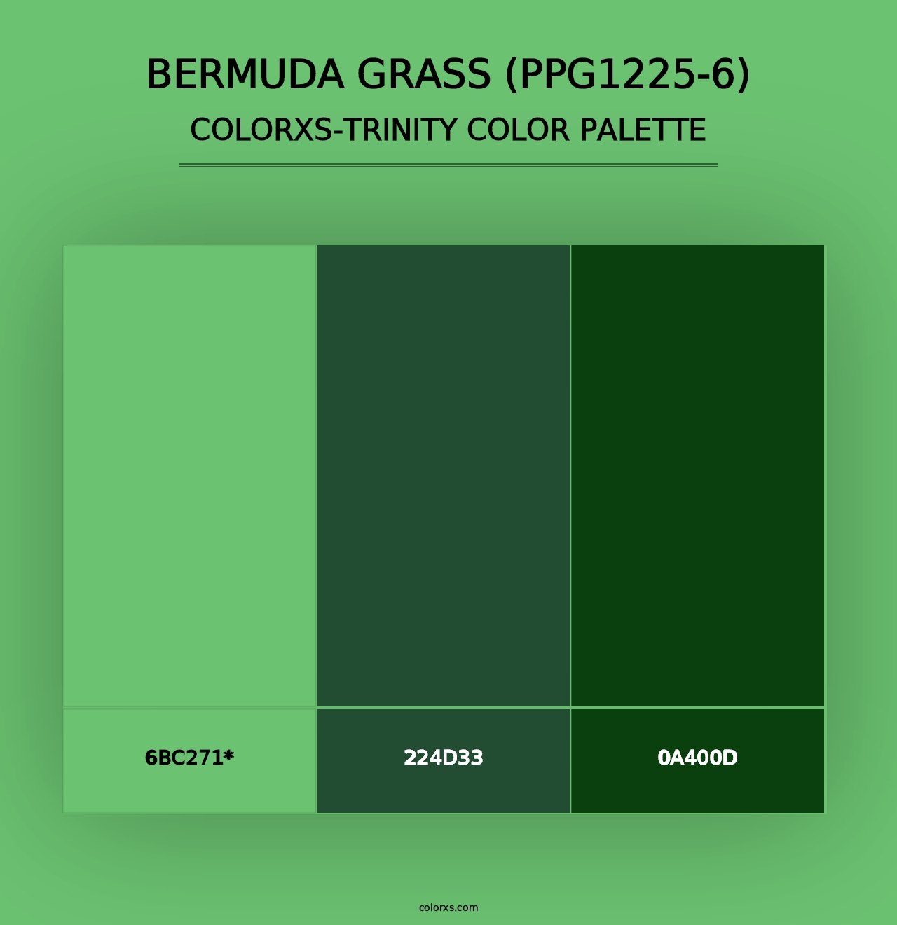 Bermuda Grass (PPG1225-6) - Colorxs Trinity Palette