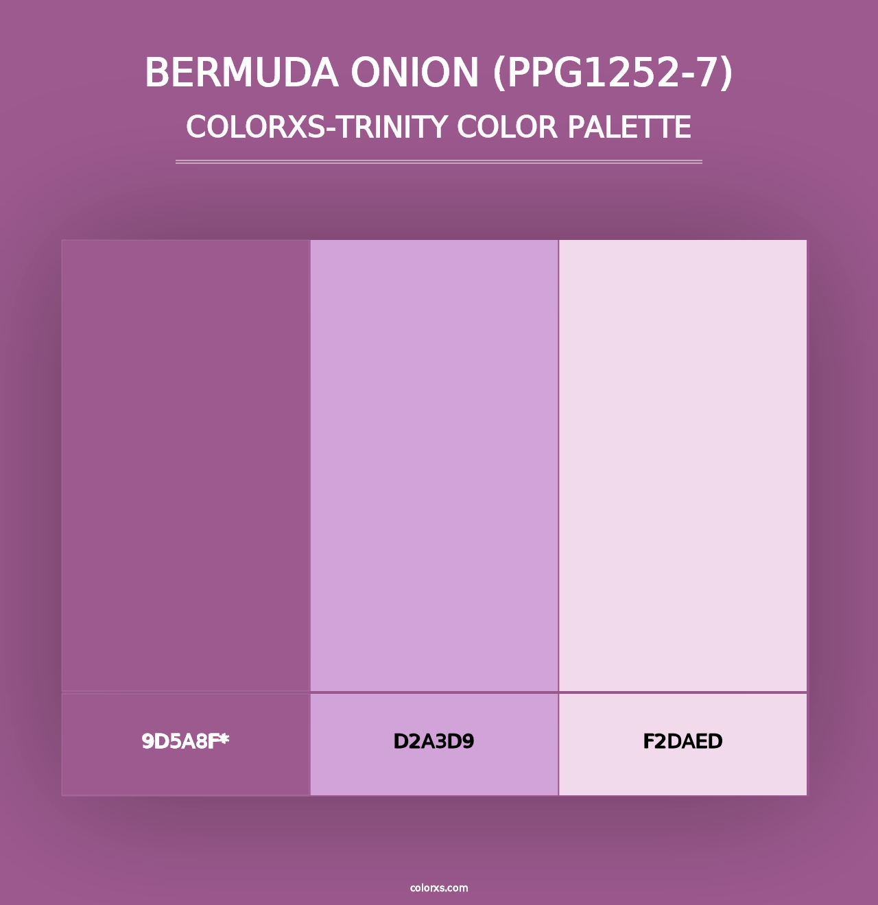 Bermuda Onion (PPG1252-7) - Colorxs Trinity Palette