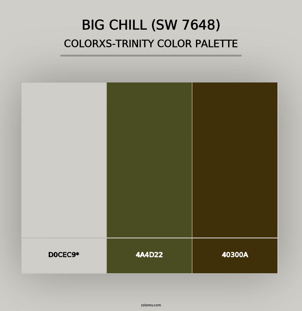 Big Chill (SW 7648) - Colorxs Trinity Palette