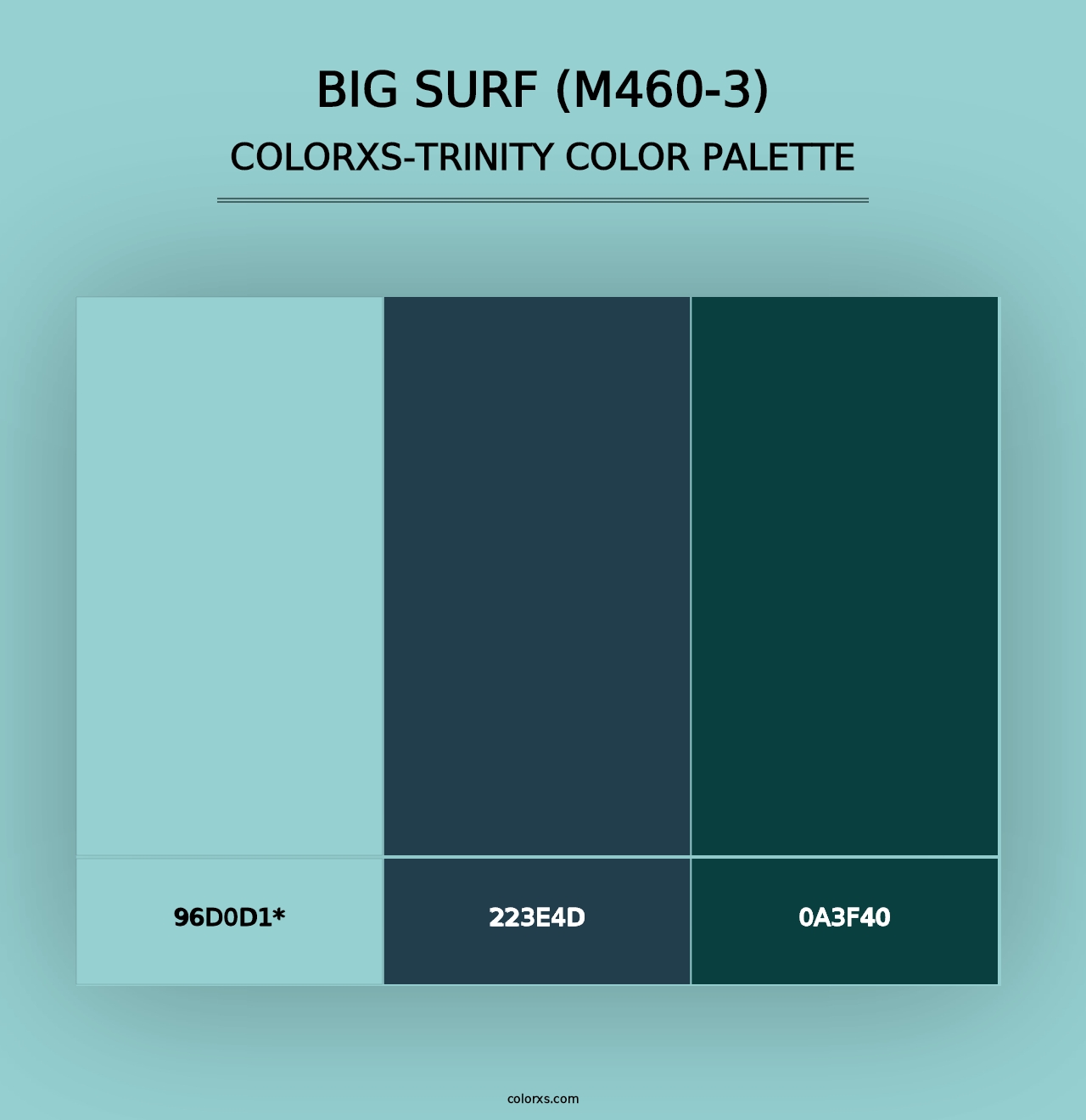 Big Surf (M460-3) - Colorxs Trinity Palette