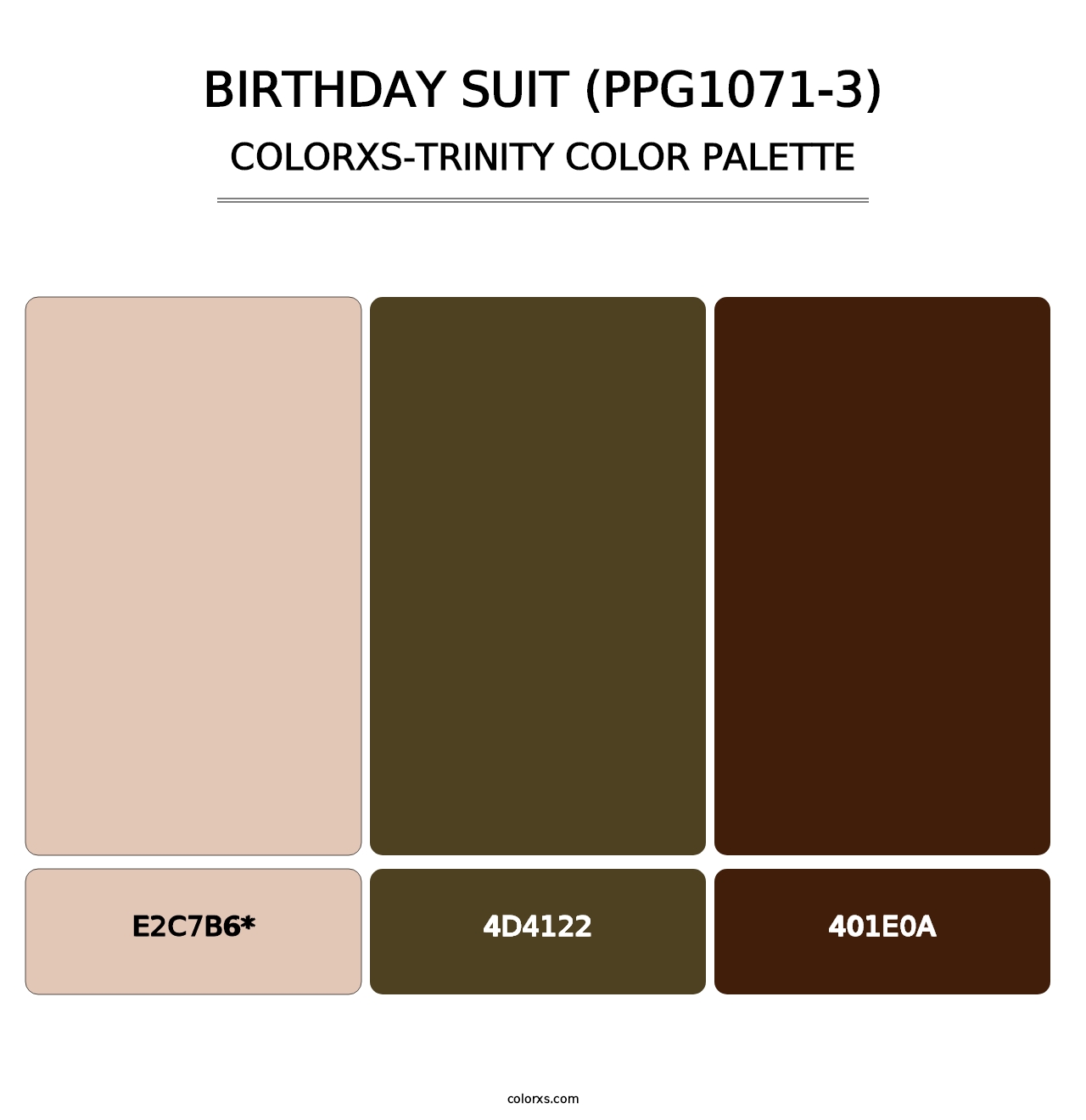 Birthday Suit (PPG1071-3) - Colorxs Trinity Palette