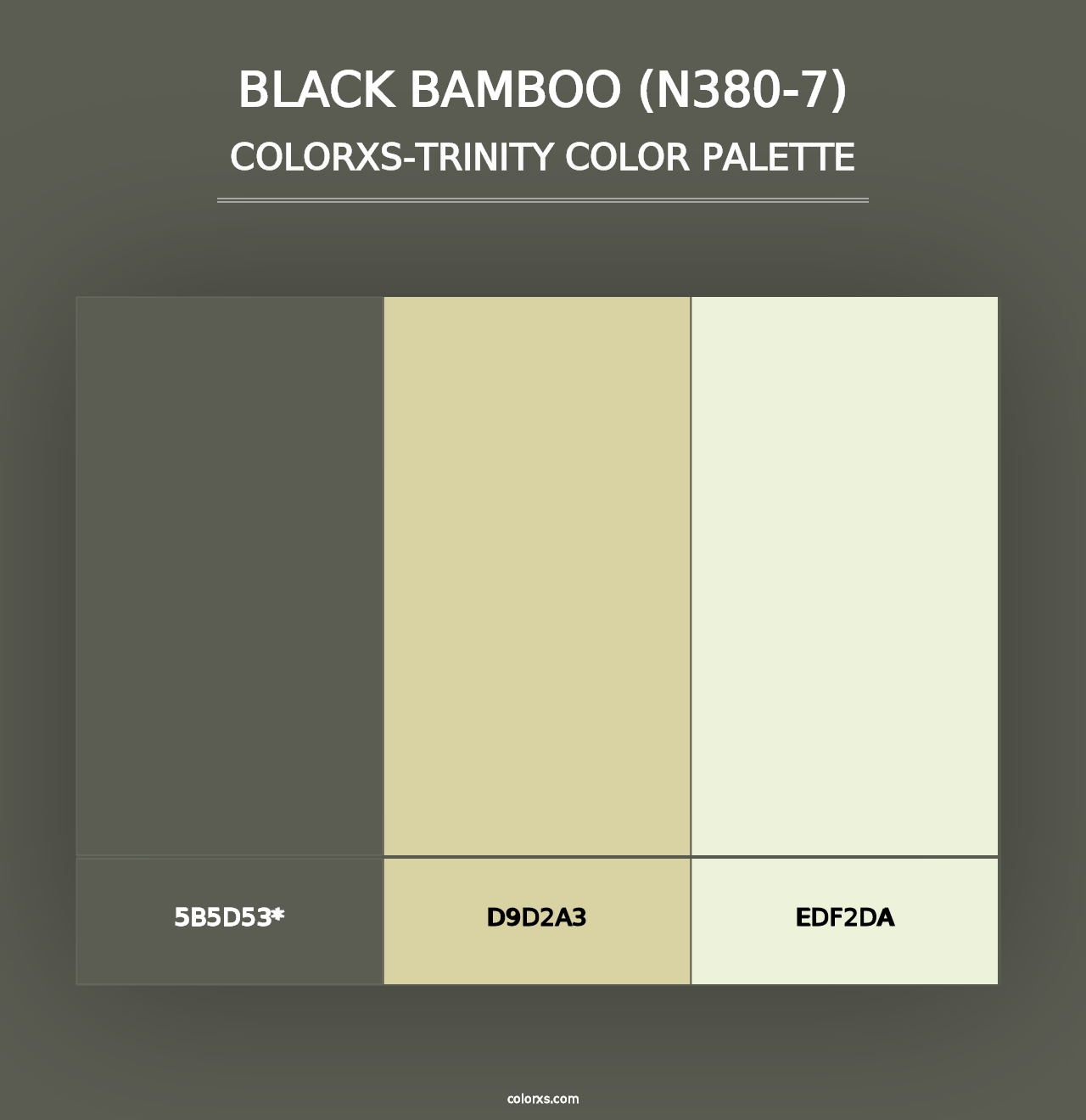 Black Bamboo (N380-7) - Colorxs Trinity Palette