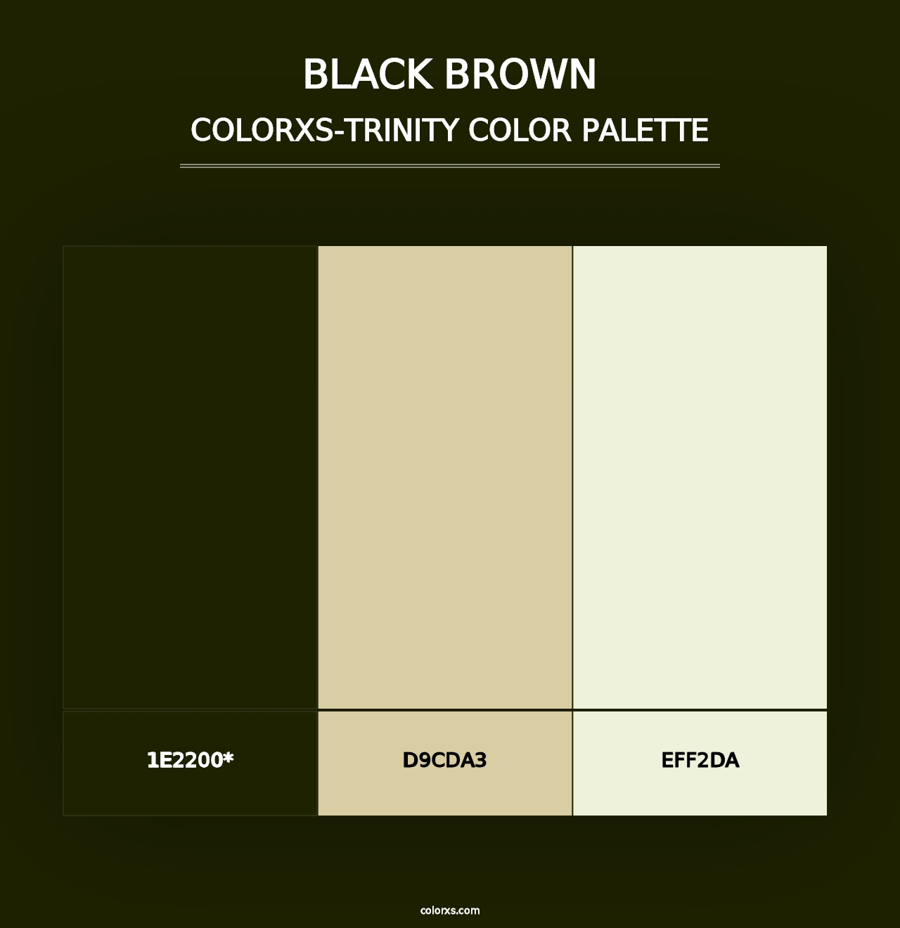 Black Brown - Colorxs Trinity Palette