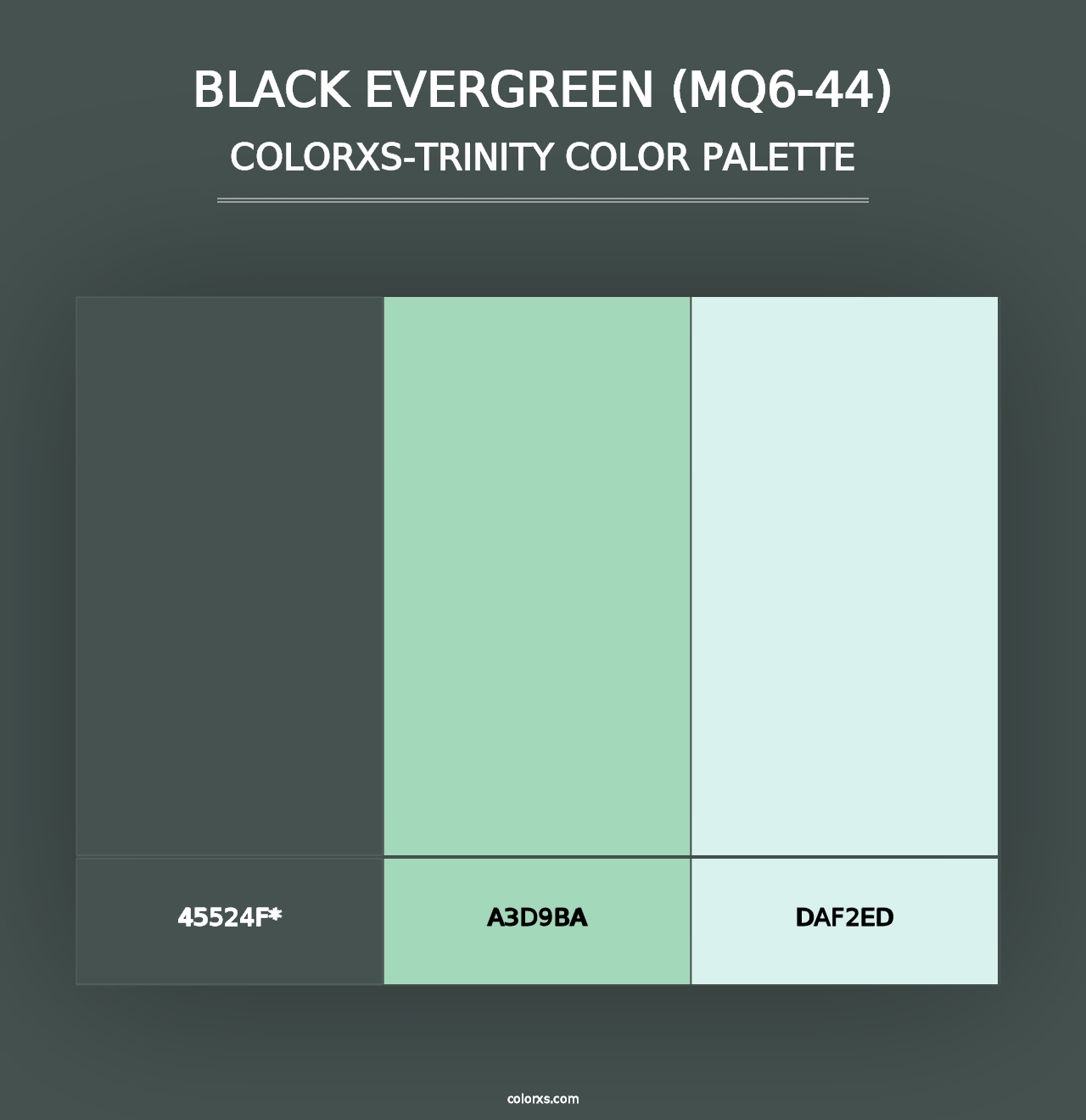 Black Evergreen (MQ6-44) - Colorxs Trinity Palette