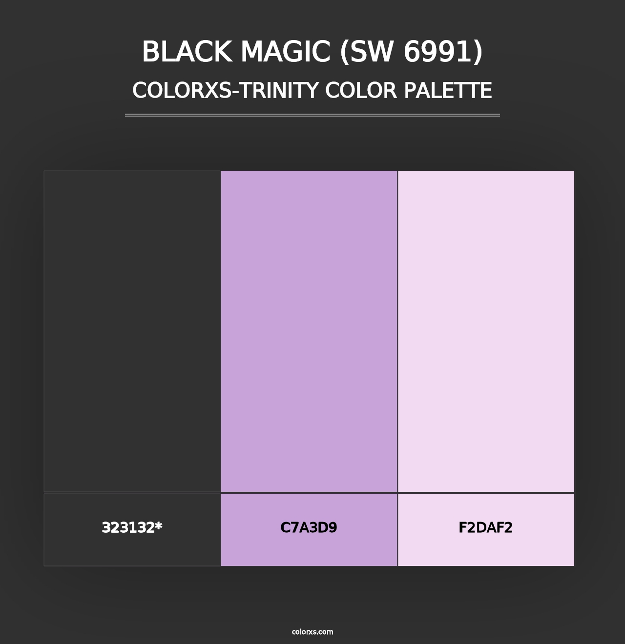 Black Magic (SW 6991) - Colorxs Trinity Palette