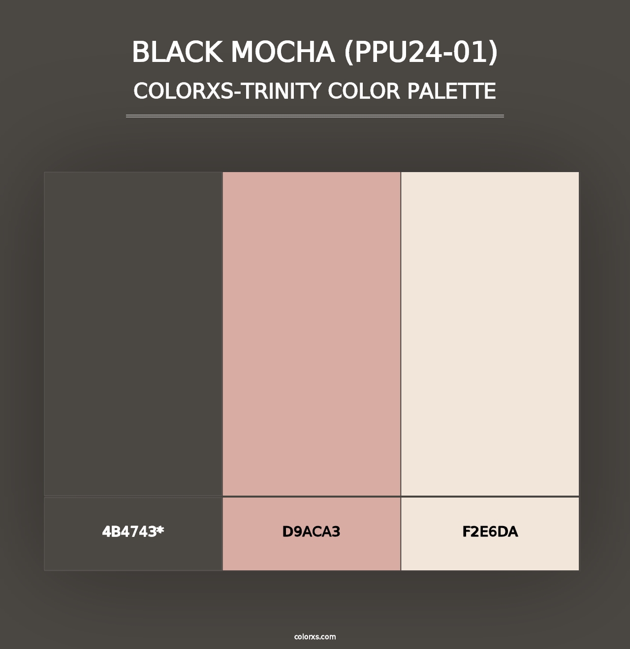 Black Mocha (PPU24-01) - Colorxs Trinity Palette