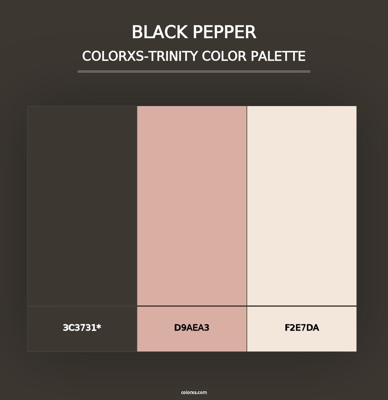 Black Pepper - Colorxs Trinity Palette