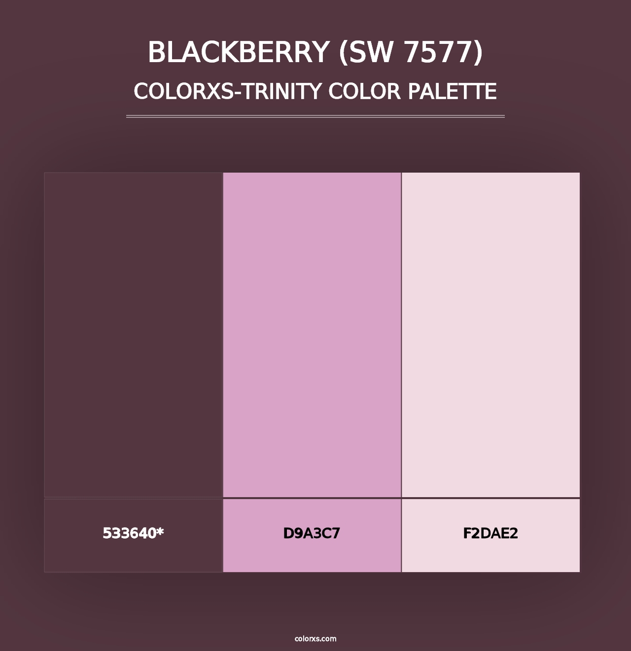 Blackberry (SW 7577) - Colorxs Trinity Palette