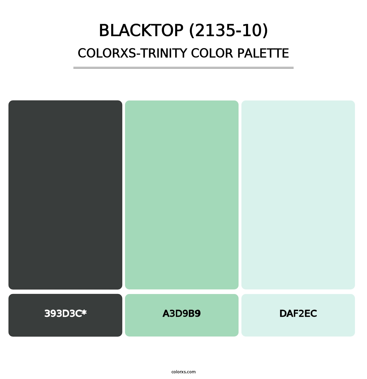 Blacktop (2135-10) - Colorxs Trinity Palette