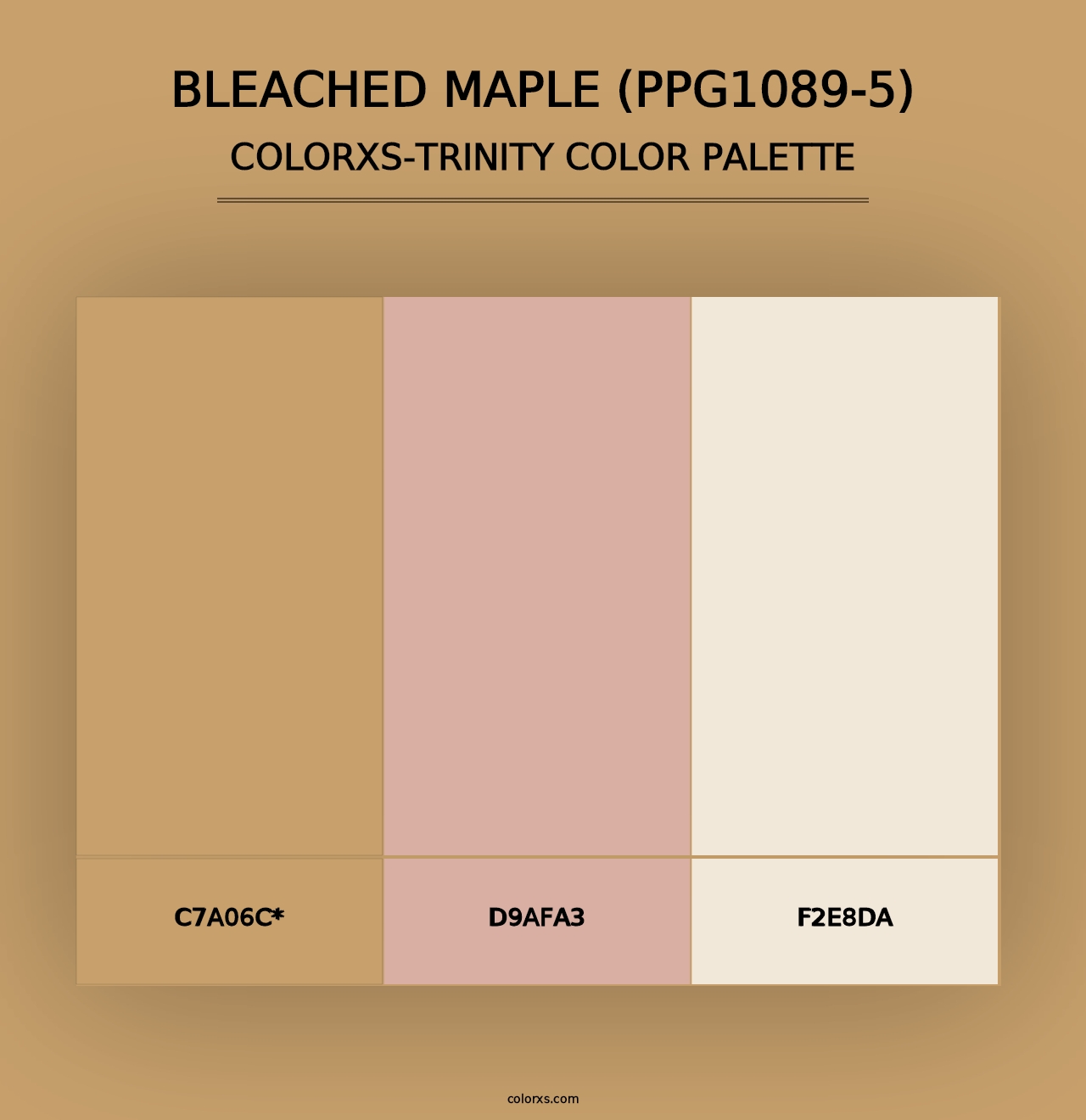 Bleached Maple (PPG1089-5) - Colorxs Trinity Palette