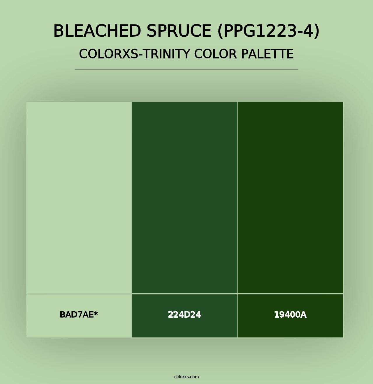 Bleached Spruce (PPG1223-4) - Colorxs Trinity Palette