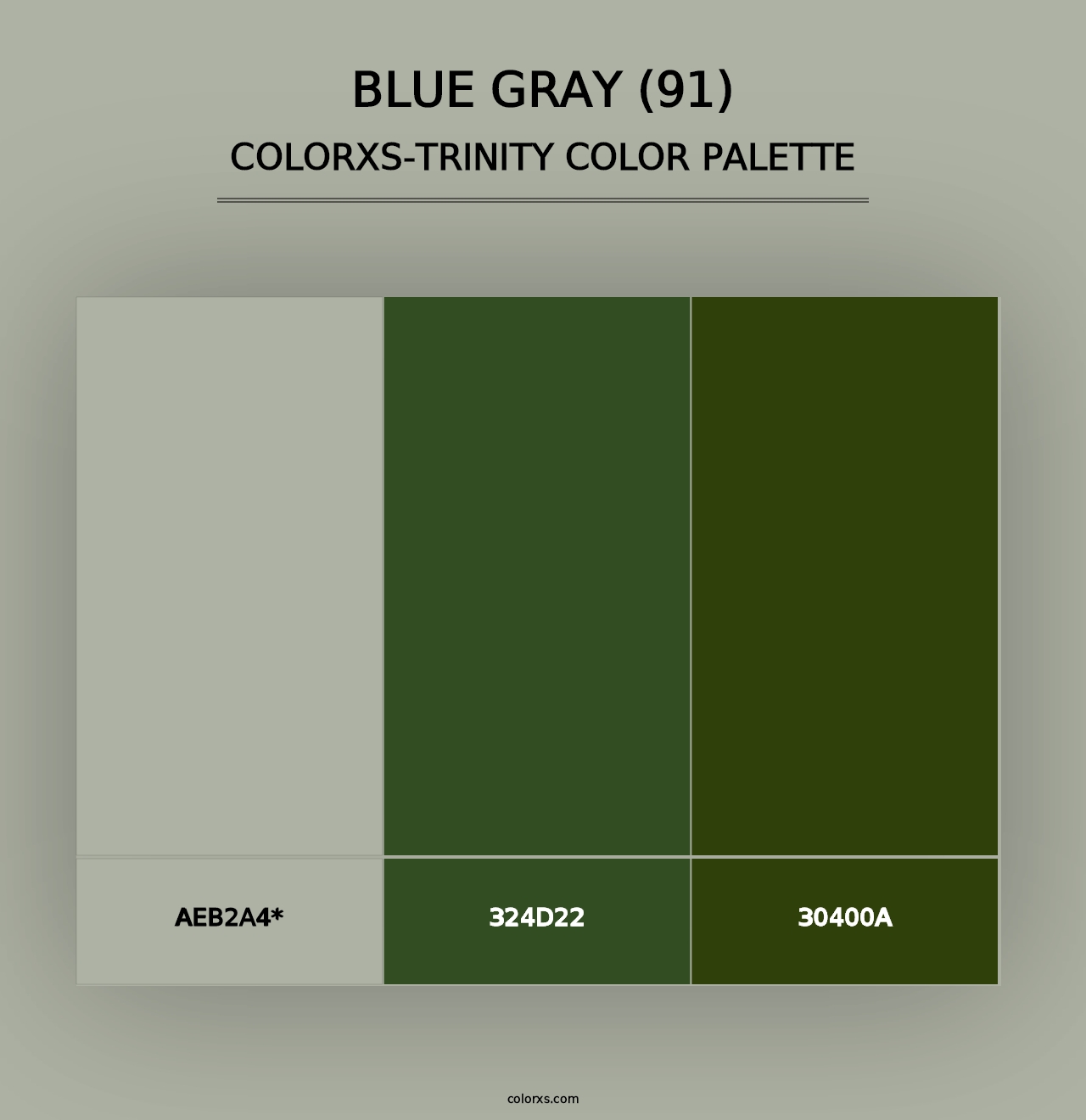 Blue Gray (91) - Colorxs Trinity Palette