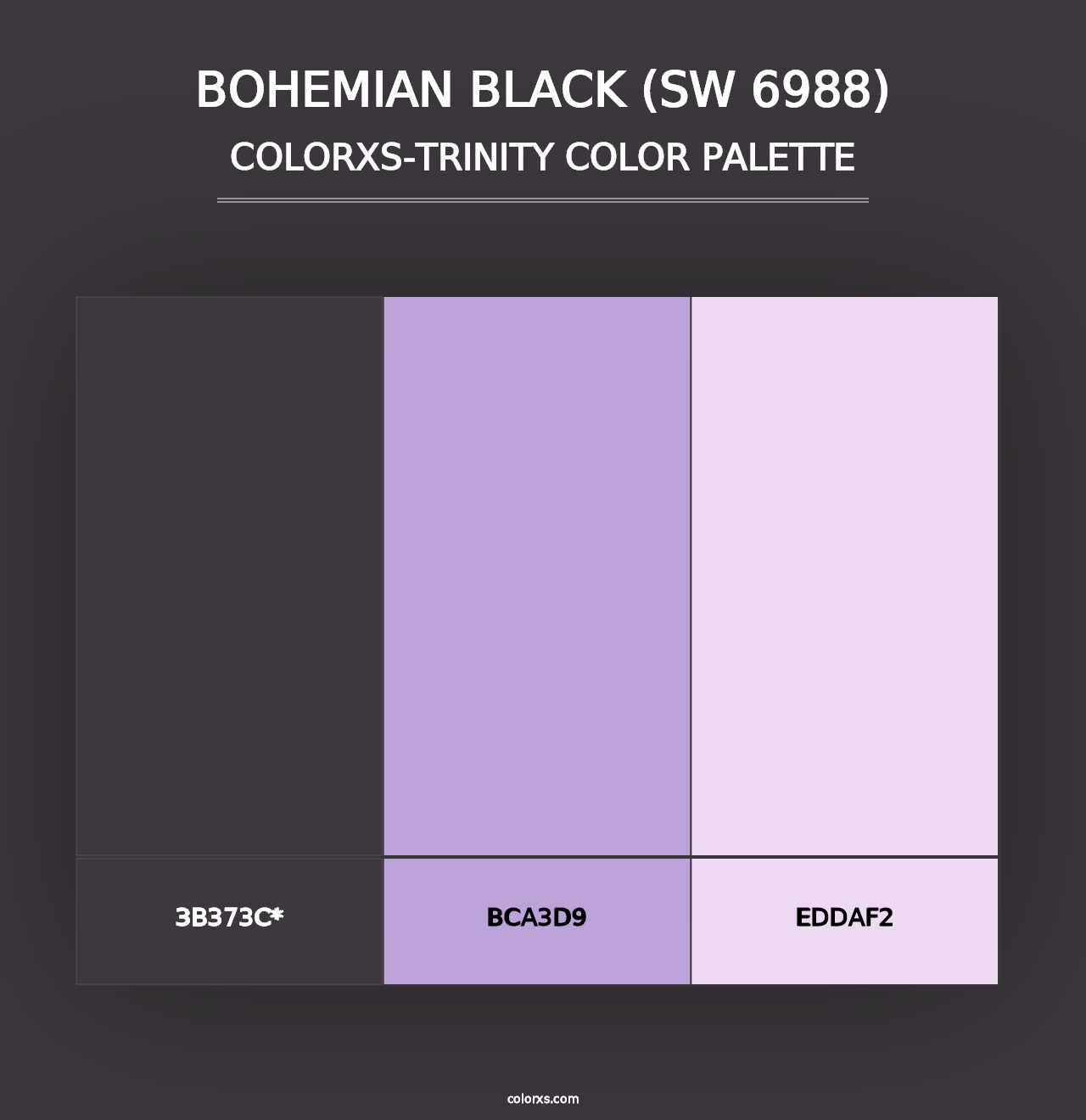 Bohemian Black (SW 6988) - Colorxs Trinity Palette