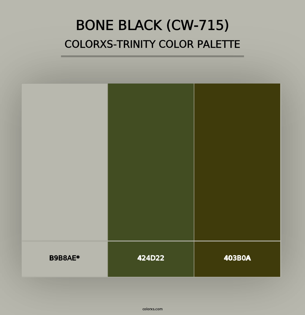 Bone Black (CW-715) - Colorxs Trinity Palette