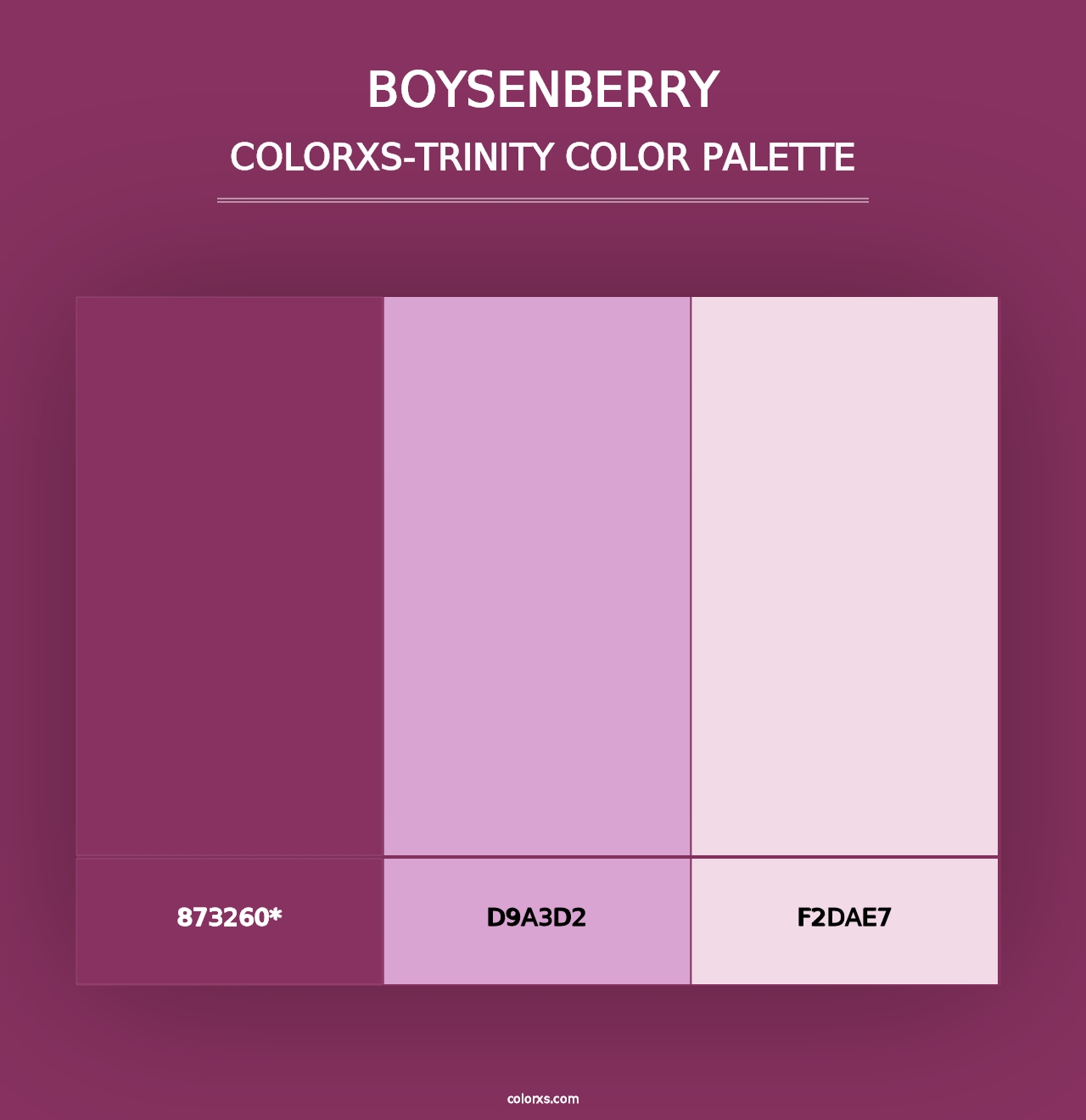 Boysenberry - Colorxs Trinity Palette