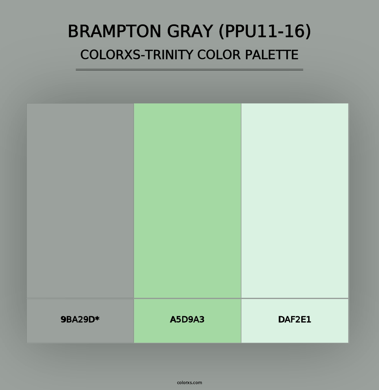 Brampton Gray (PPU11-16) - Colorxs Trinity Palette