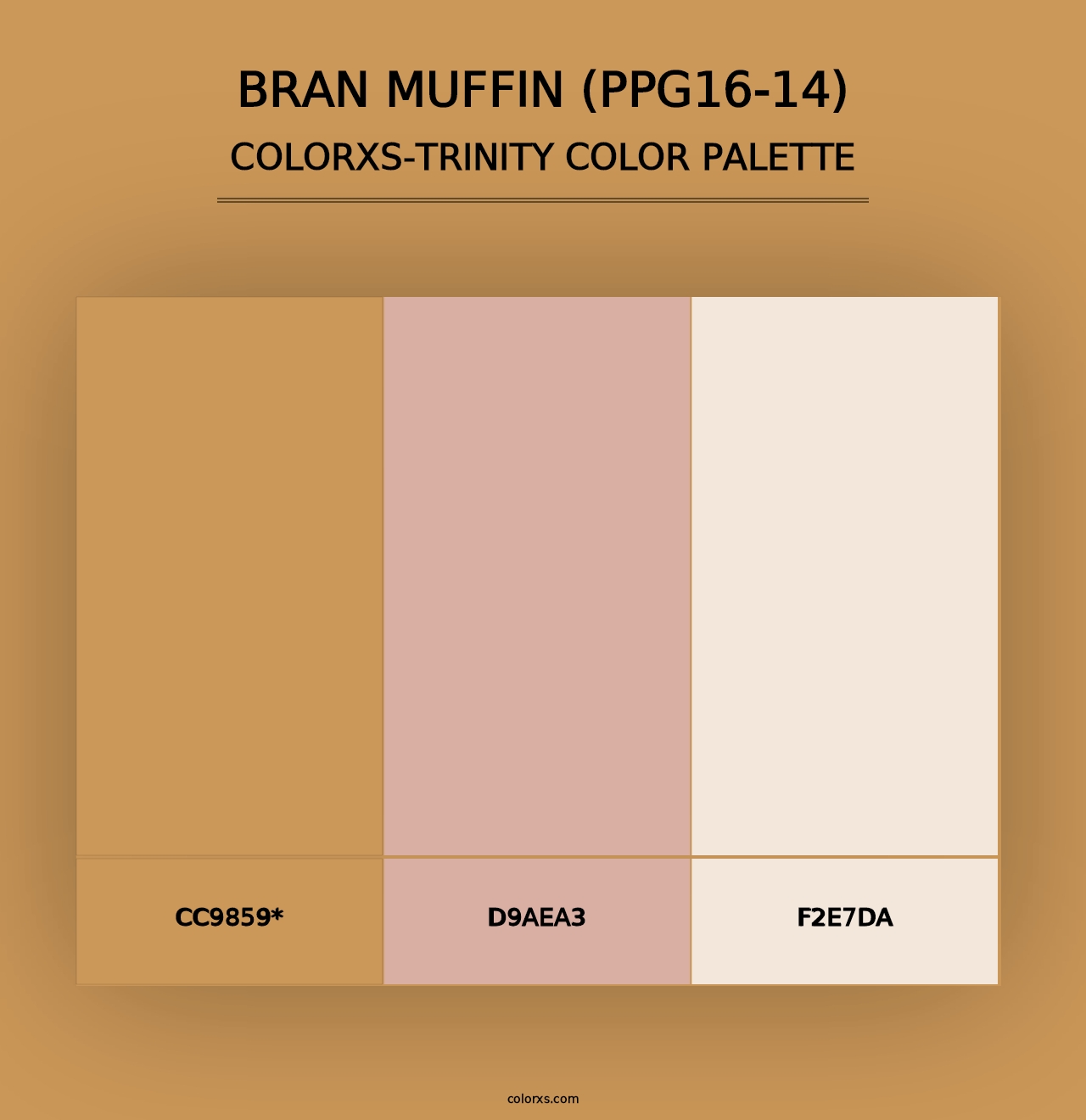 Bran Muffin (PPG16-14) - Colorxs Trinity Palette