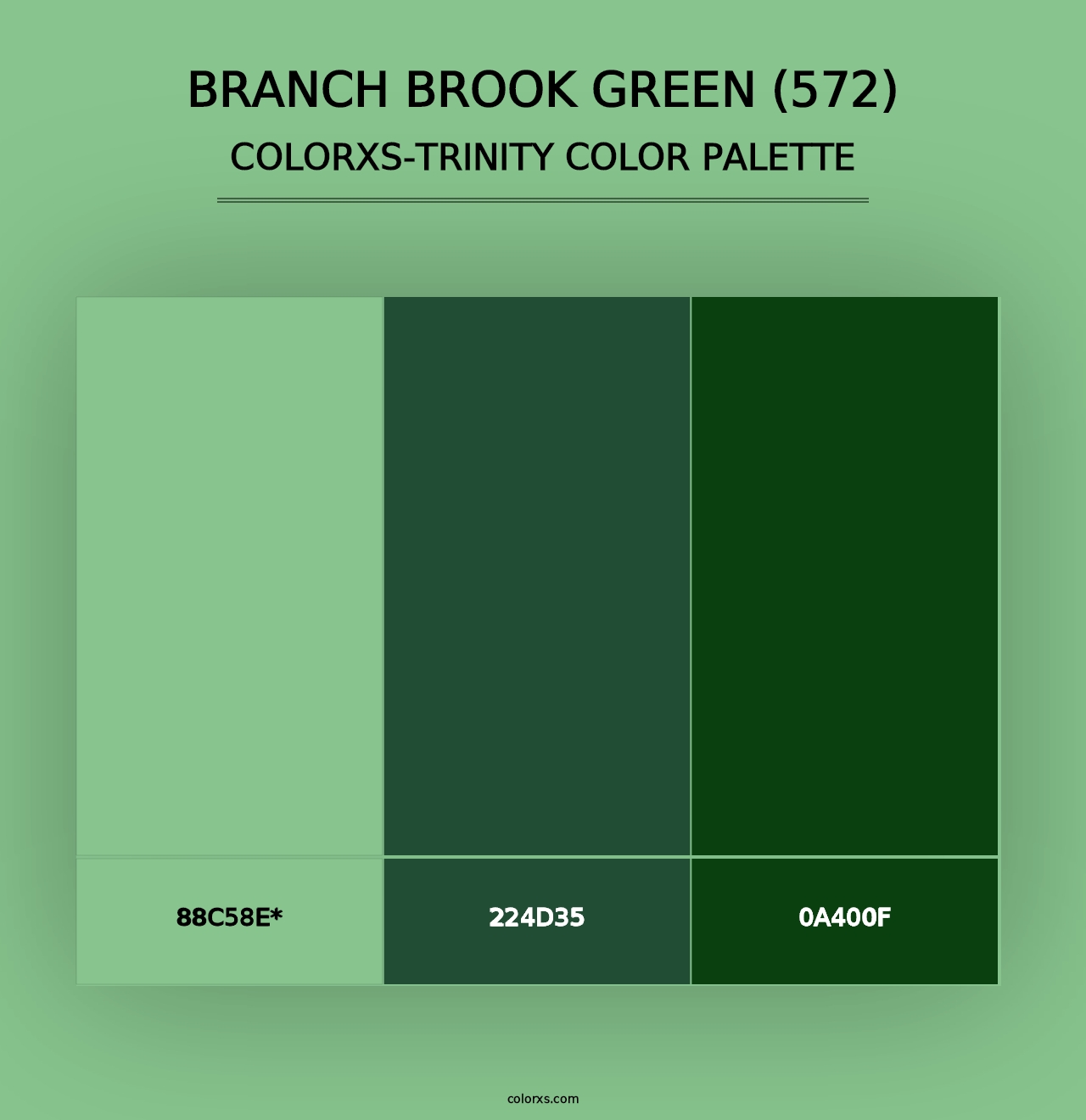 Branch Brook Green (572) - Colorxs Trinity Palette