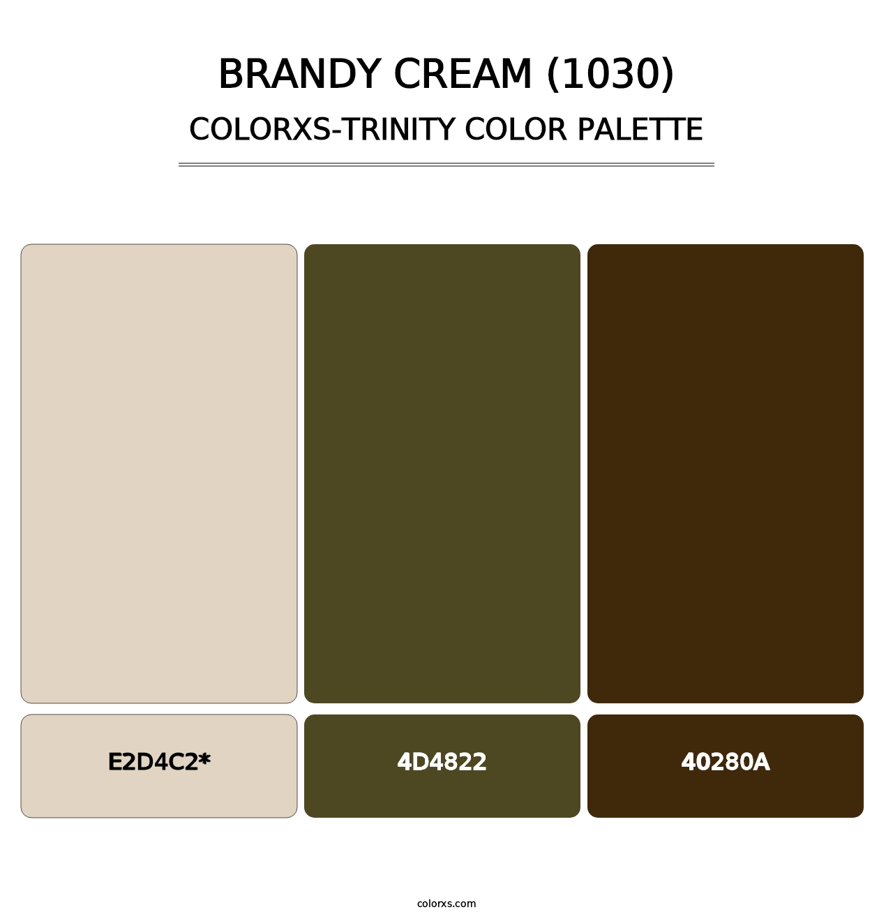 Brandy Cream (1030) - Colorxs Trinity Palette