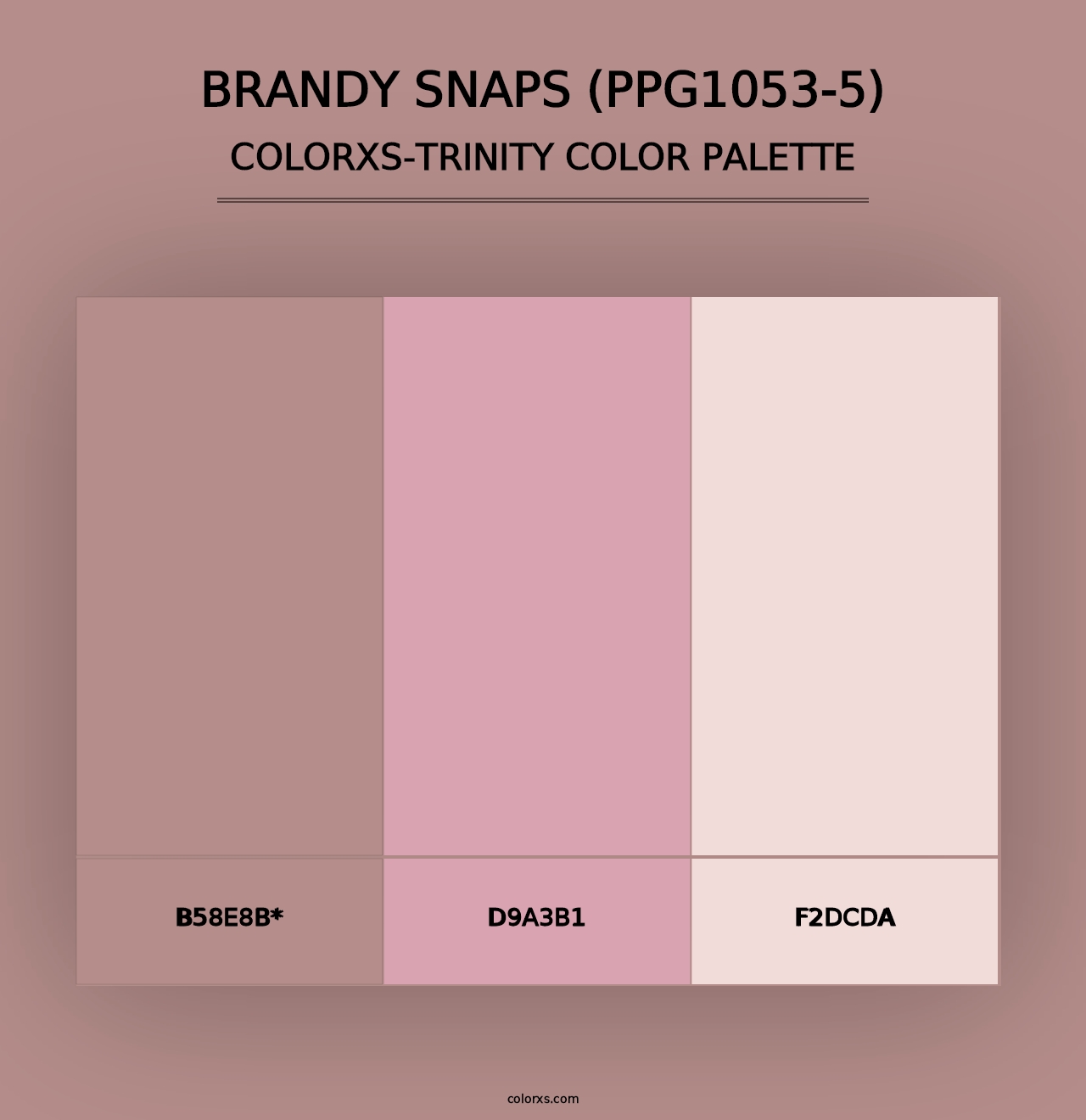 Brandy Snaps (PPG1053-5) - Colorxs Trinity Palette