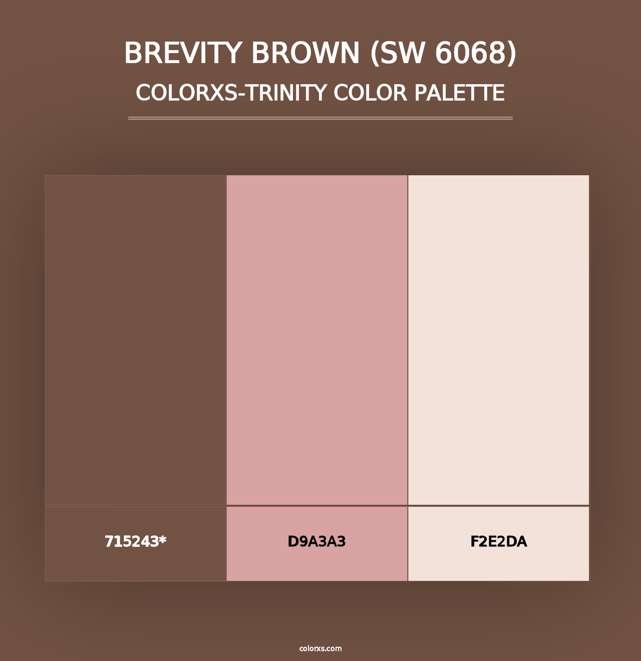 Brevity Brown (SW 6068) - Colorxs Trinity Palette