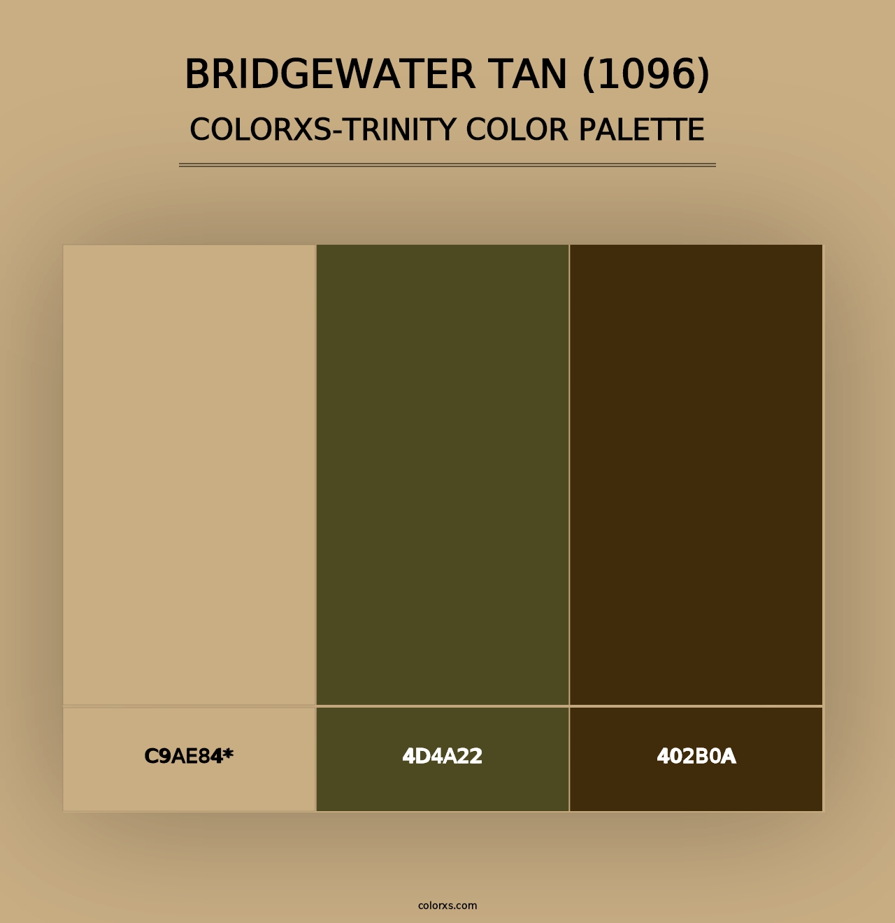 Bridgewater Tan (1096) - Colorxs Trinity Palette