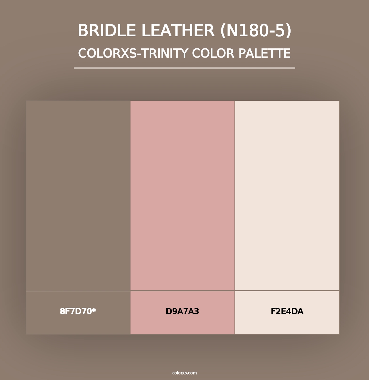 Bridle Leather (N180-5) - Colorxs Trinity Palette