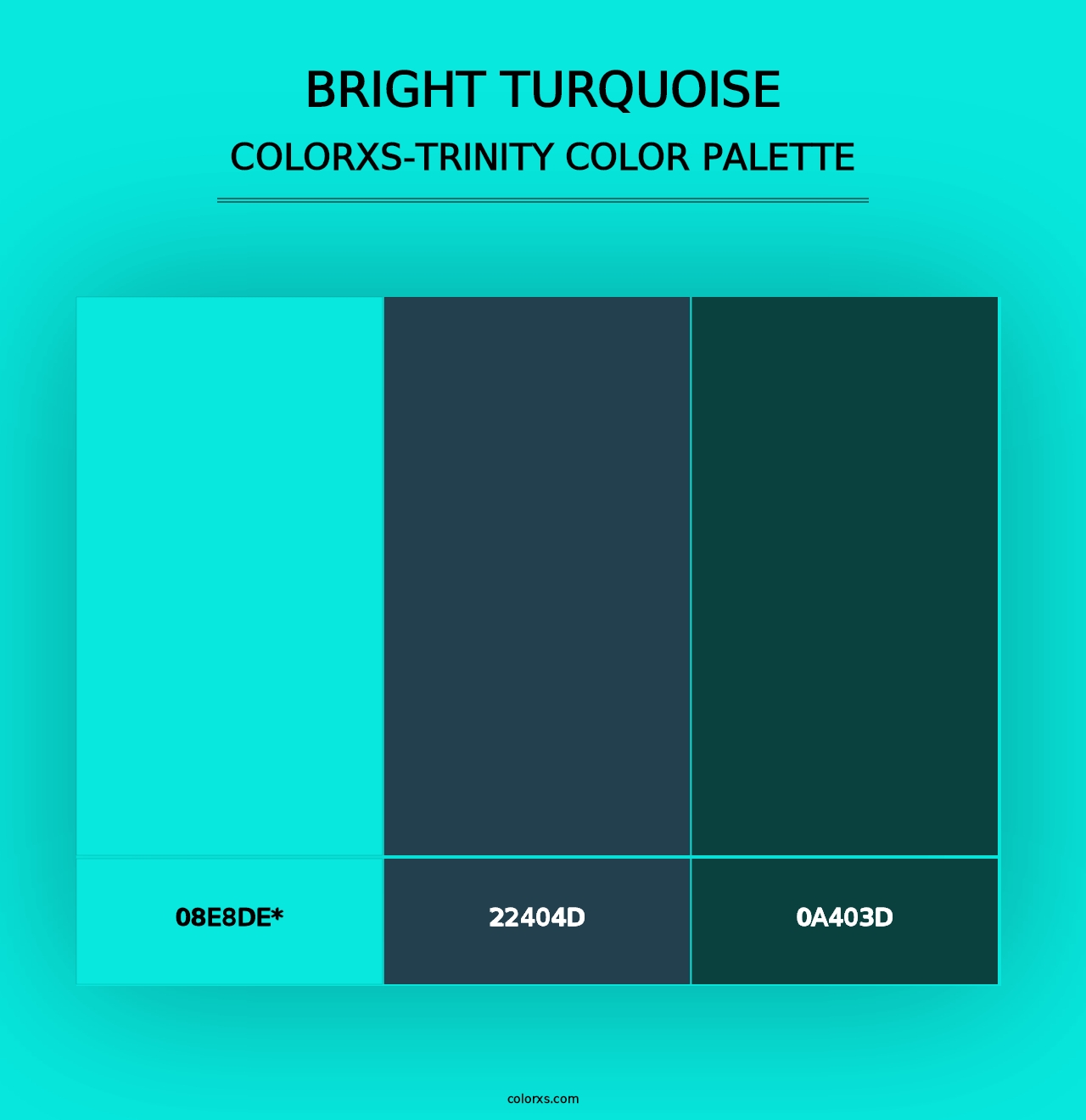 Bright Turquoise - Colorxs Trinity Palette