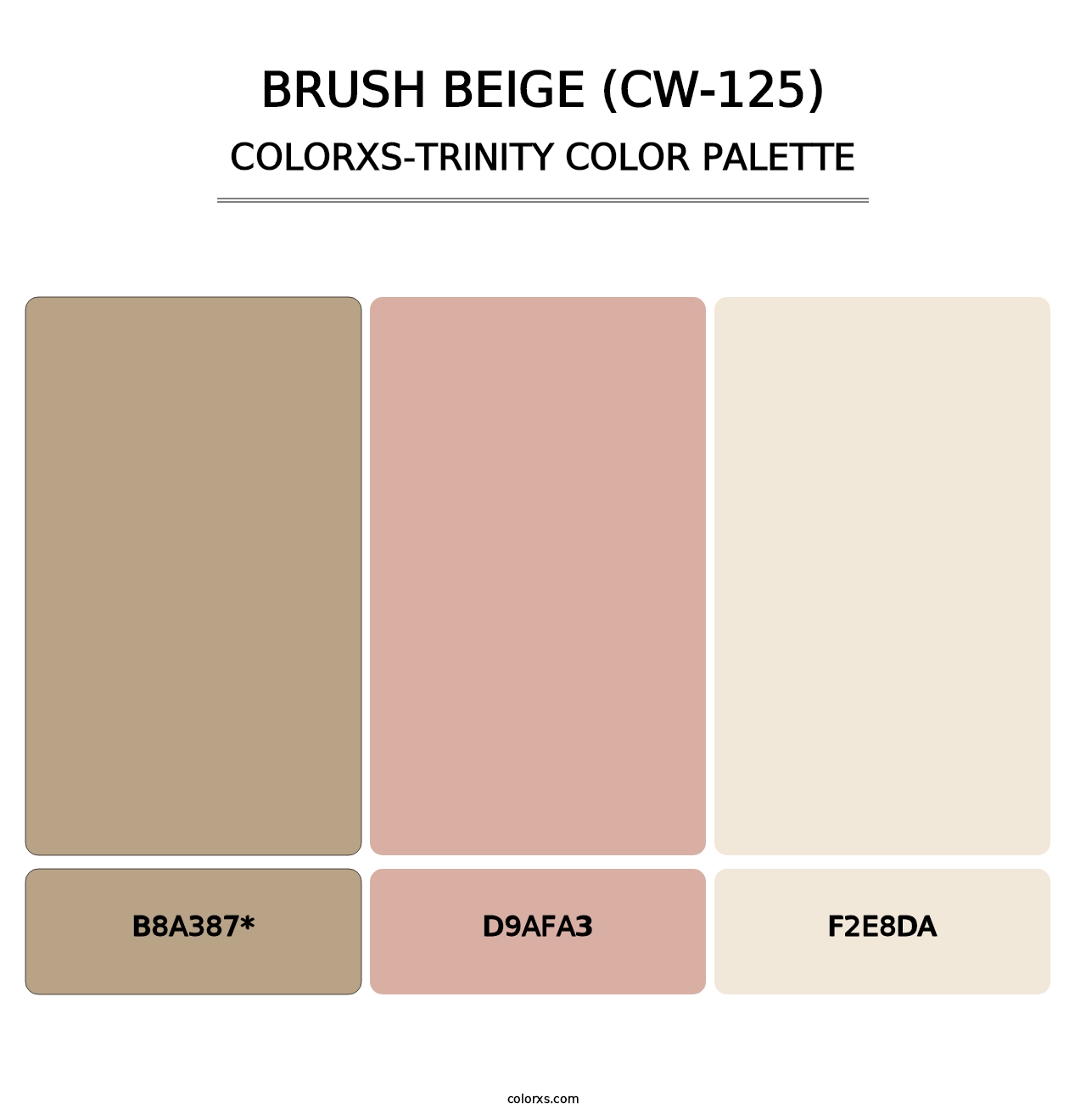 Brush Beige (CW-125) - Colorxs Trinity Palette