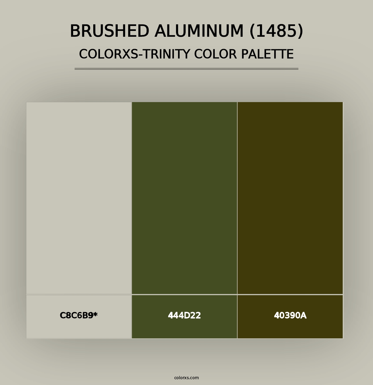 Brushed Aluminum (1485) - Colorxs Trinity Palette