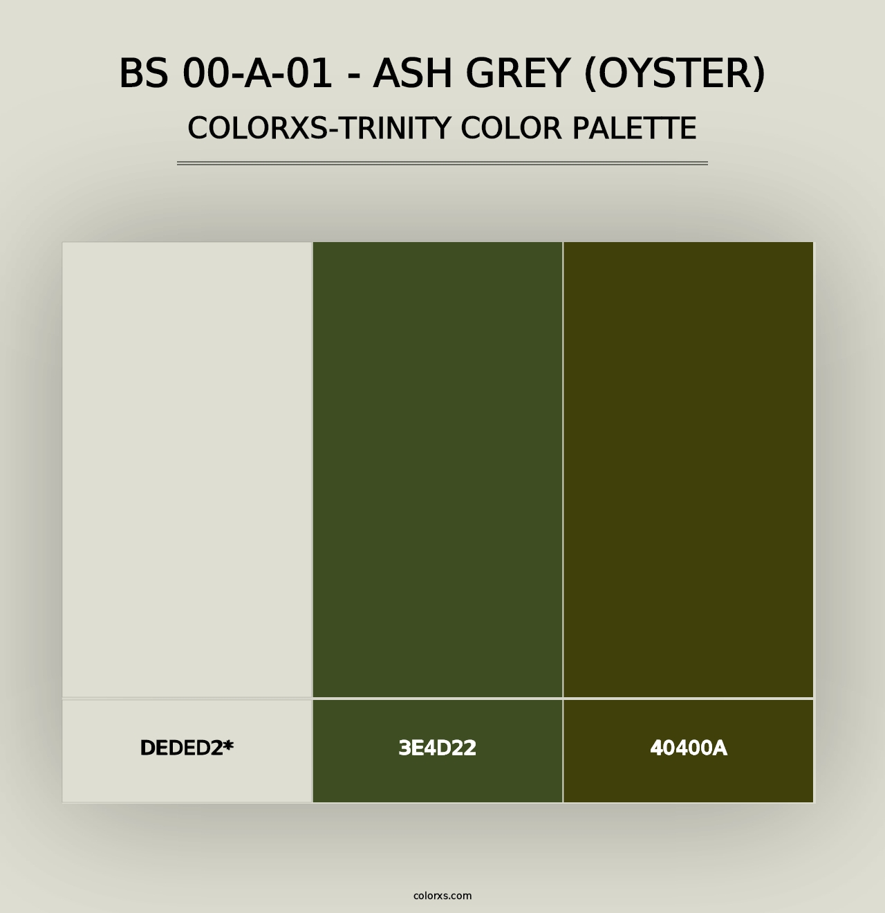 BS 00-A-01 - Ash Grey (Oyster) - Colorxs Trinity Palette