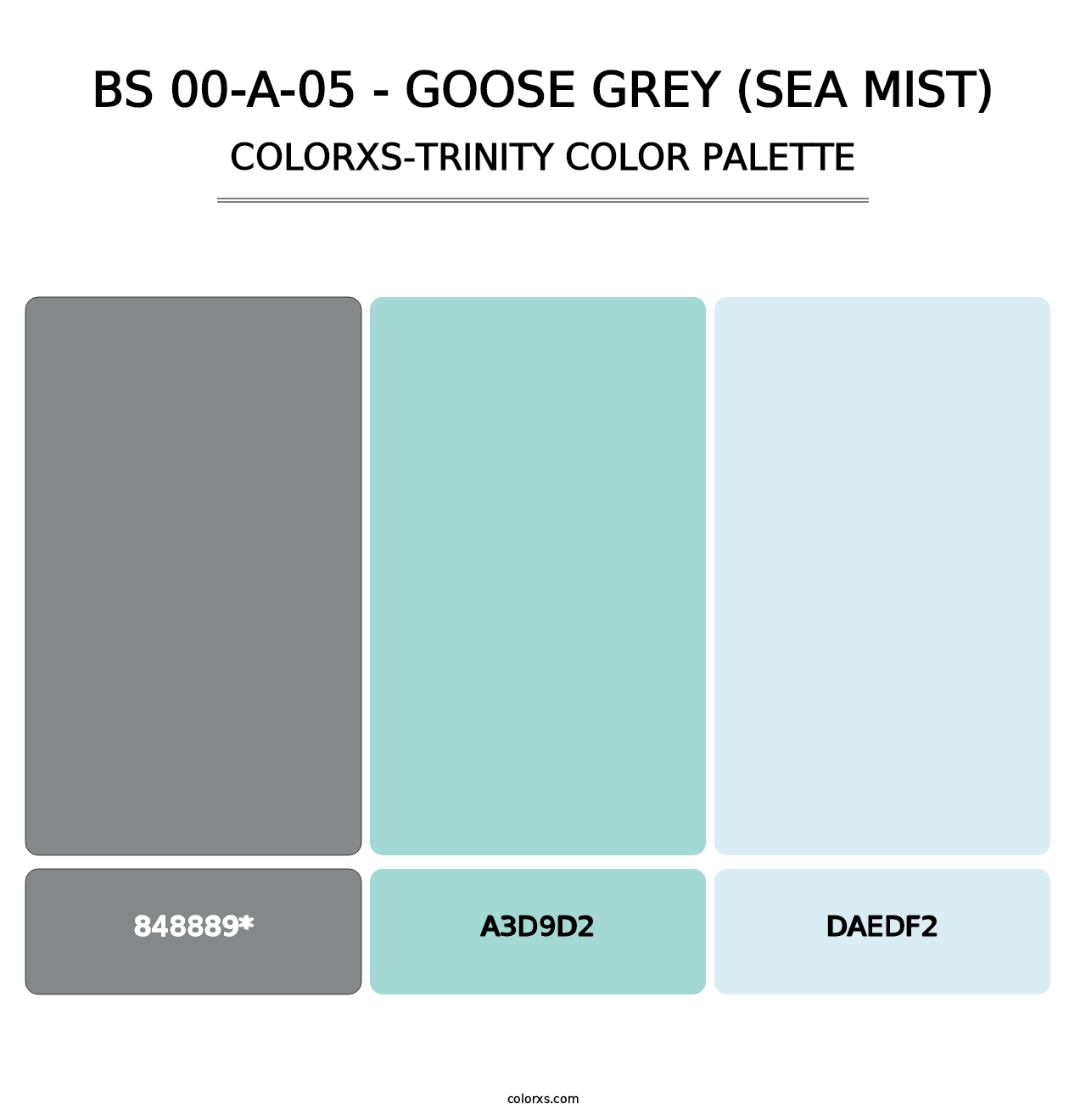 BS 00-A-05 - Goose Grey (Sea Mist) - Colorxs Trinity Palette