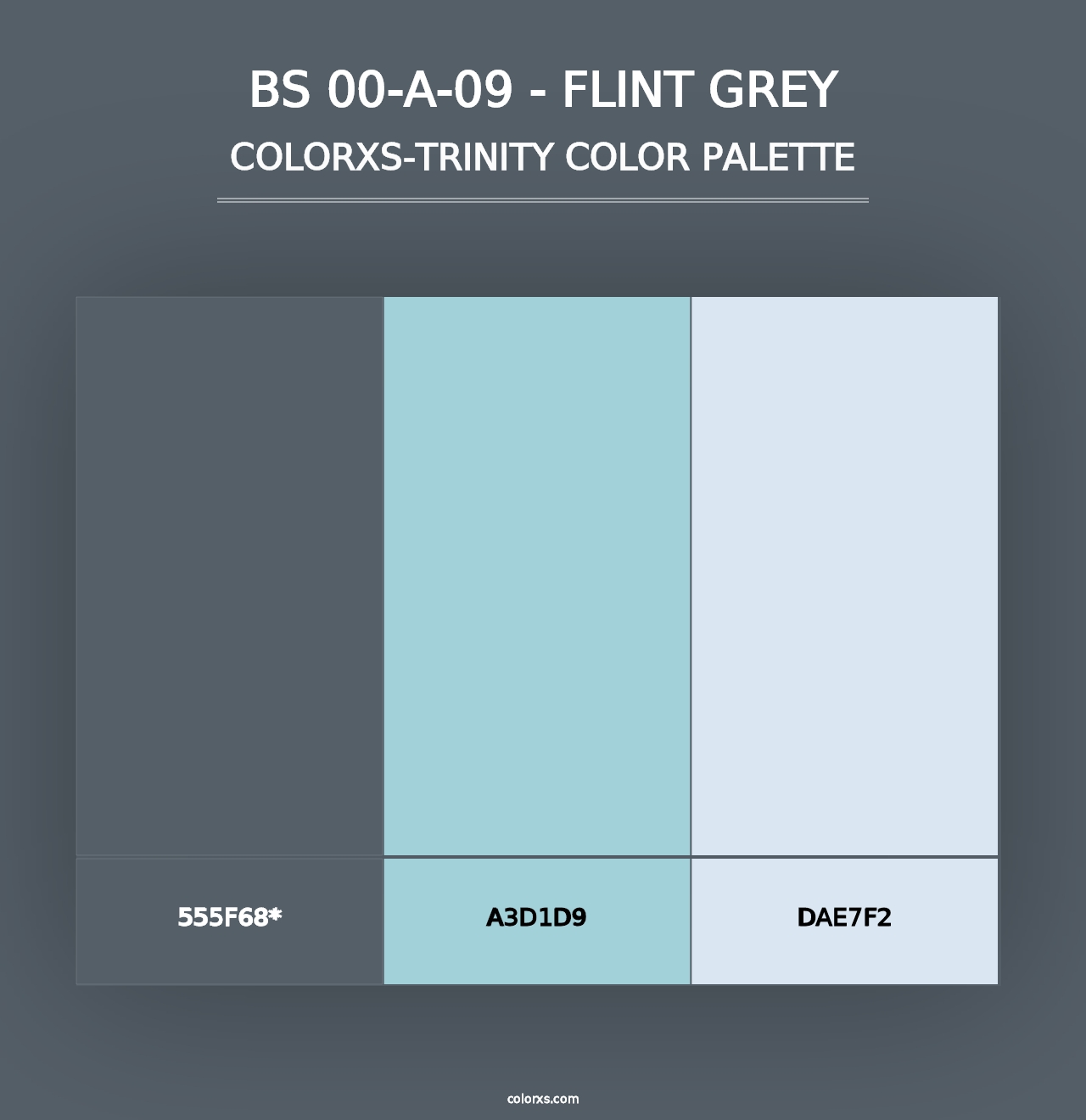 BS 00-A-09 - Flint Grey - Colorxs Trinity Palette