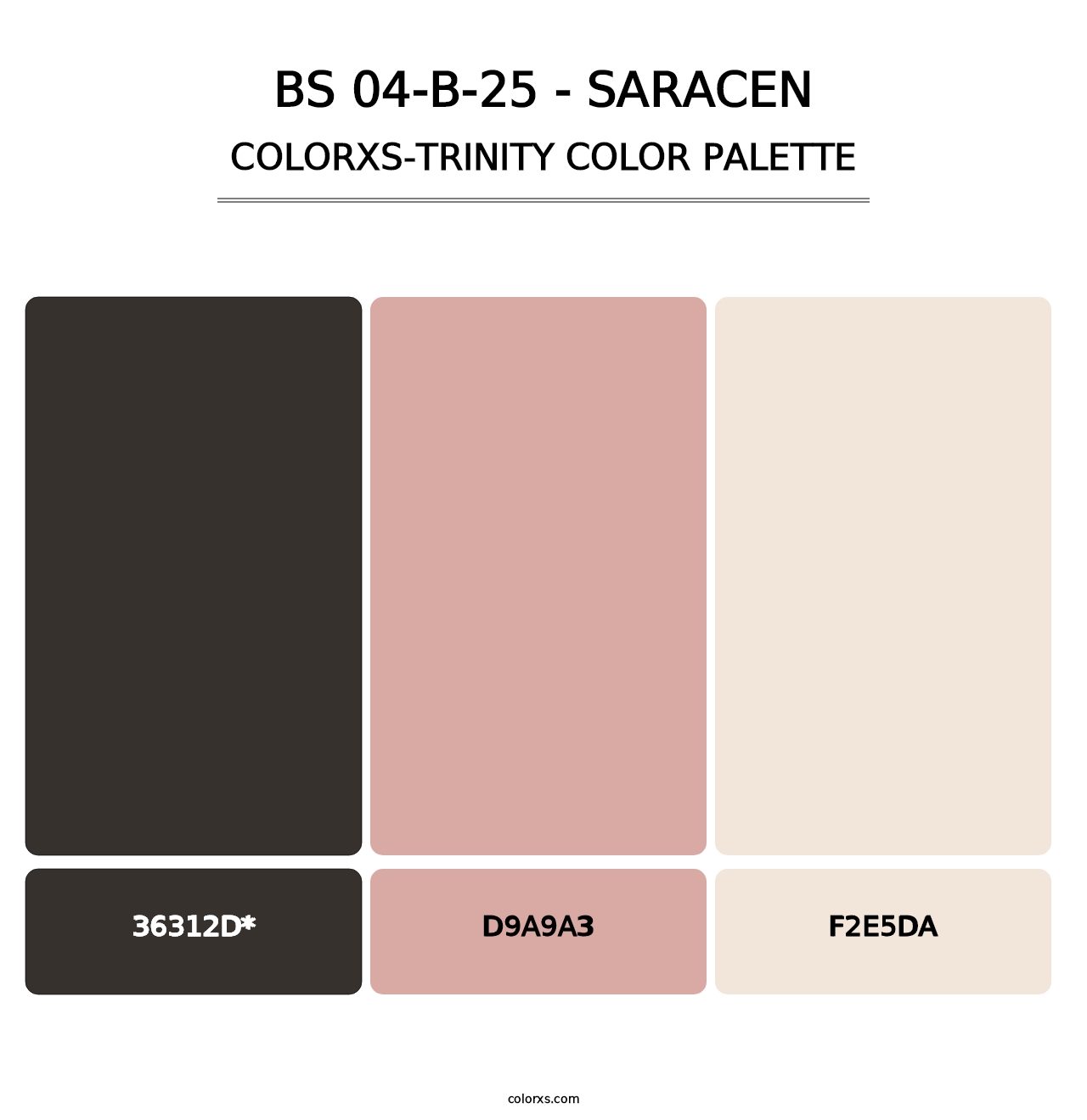 BS 04-B-25 - Saracen - Colorxs Trinity Palette