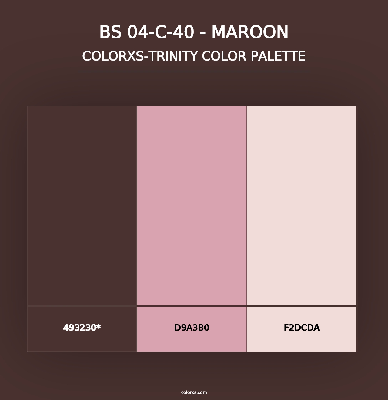 BS 04-C-40 - Maroon - Colorxs Trinity Palette