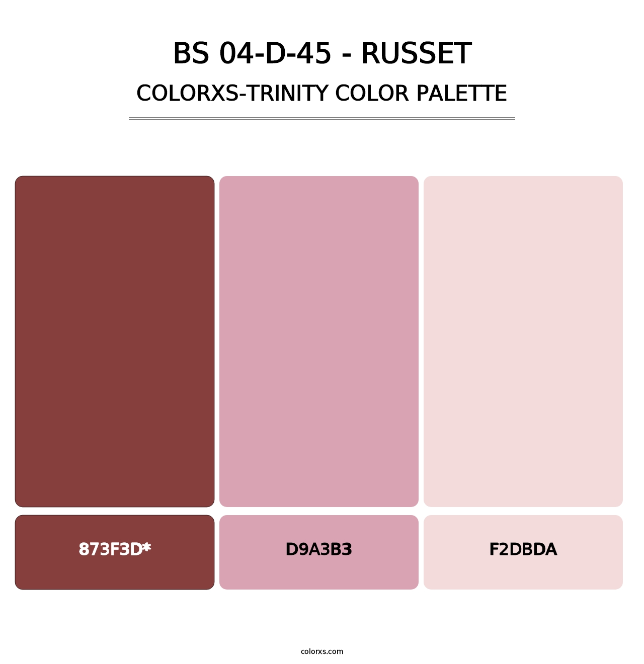 BS 04-D-45 - Russet - Colorxs Trinity Palette