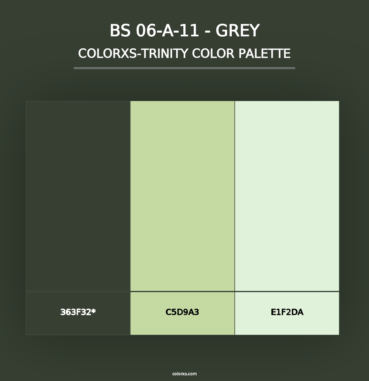 BS 06-A-11 - Grey - Colorxs Trinity Palette