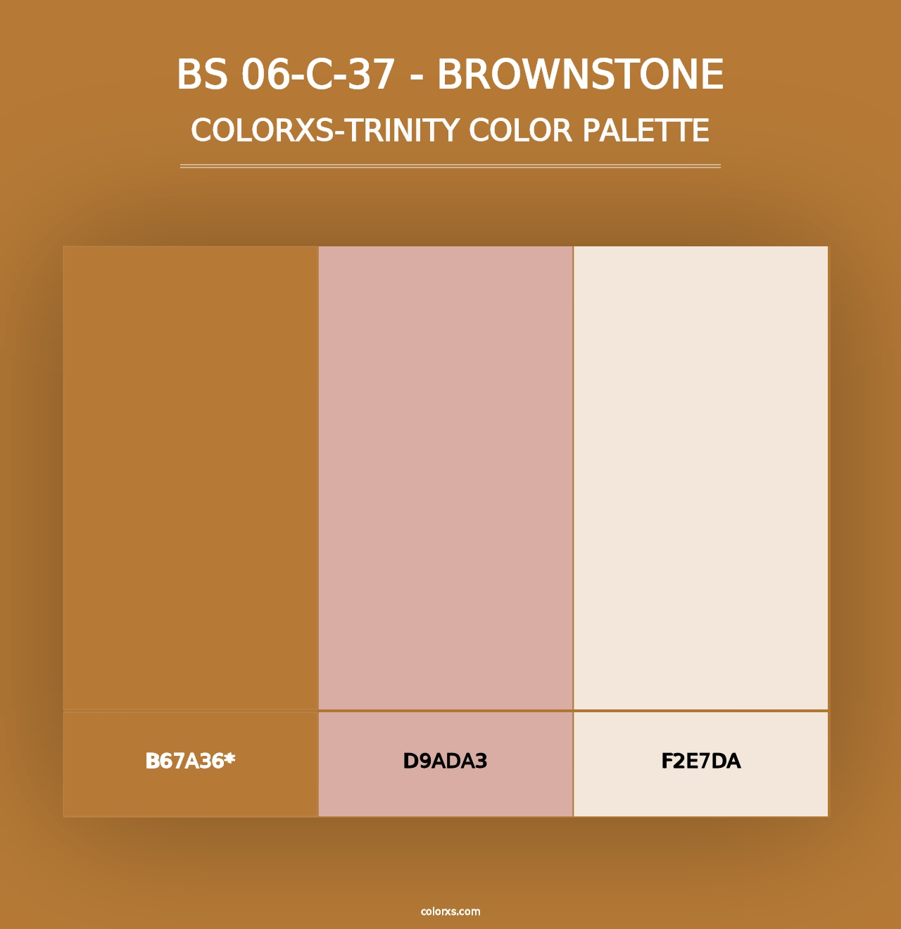 BS 06-C-37 - Brownstone - Colorxs Trinity Palette